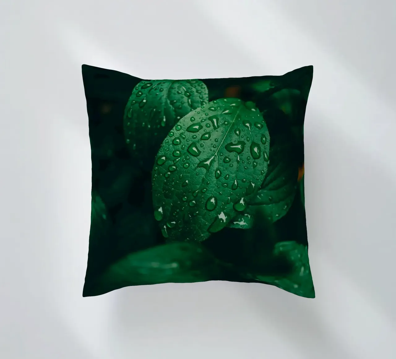 Feuille sombre avec gouttes de pluie - Moody Macro-Photo de plantes coussin de Bold and Retro