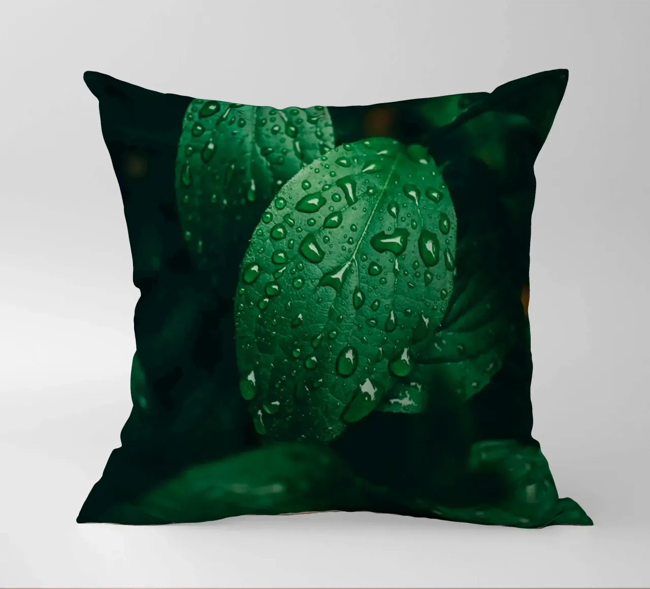 Feuille sombre avec gouttes de pluie - Moody Macro-Photo de plantes coussin de Bold and Retro