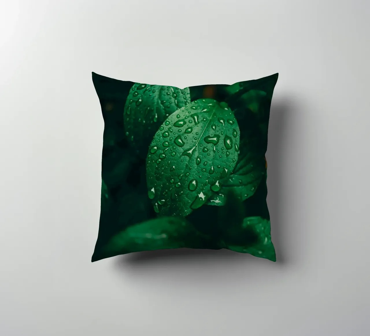 Feuille sombre avec gouttes de pluie - Moody Macro-Photo de plantes coussin de Bold and Retro