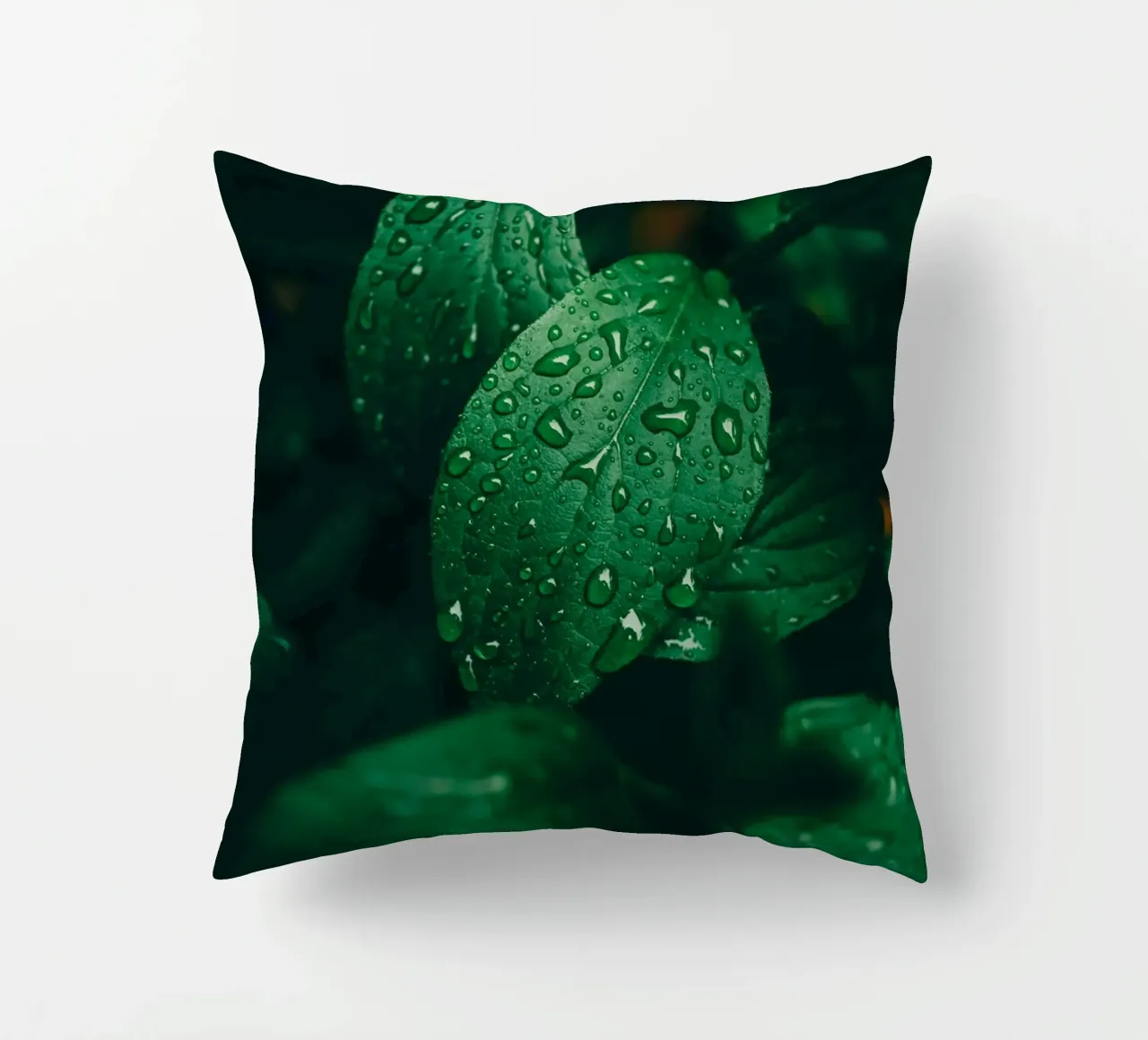 Feuille sombre avec gouttes de pluie - Moody Macro-Photo de plantes coussin de Bold and Retro
