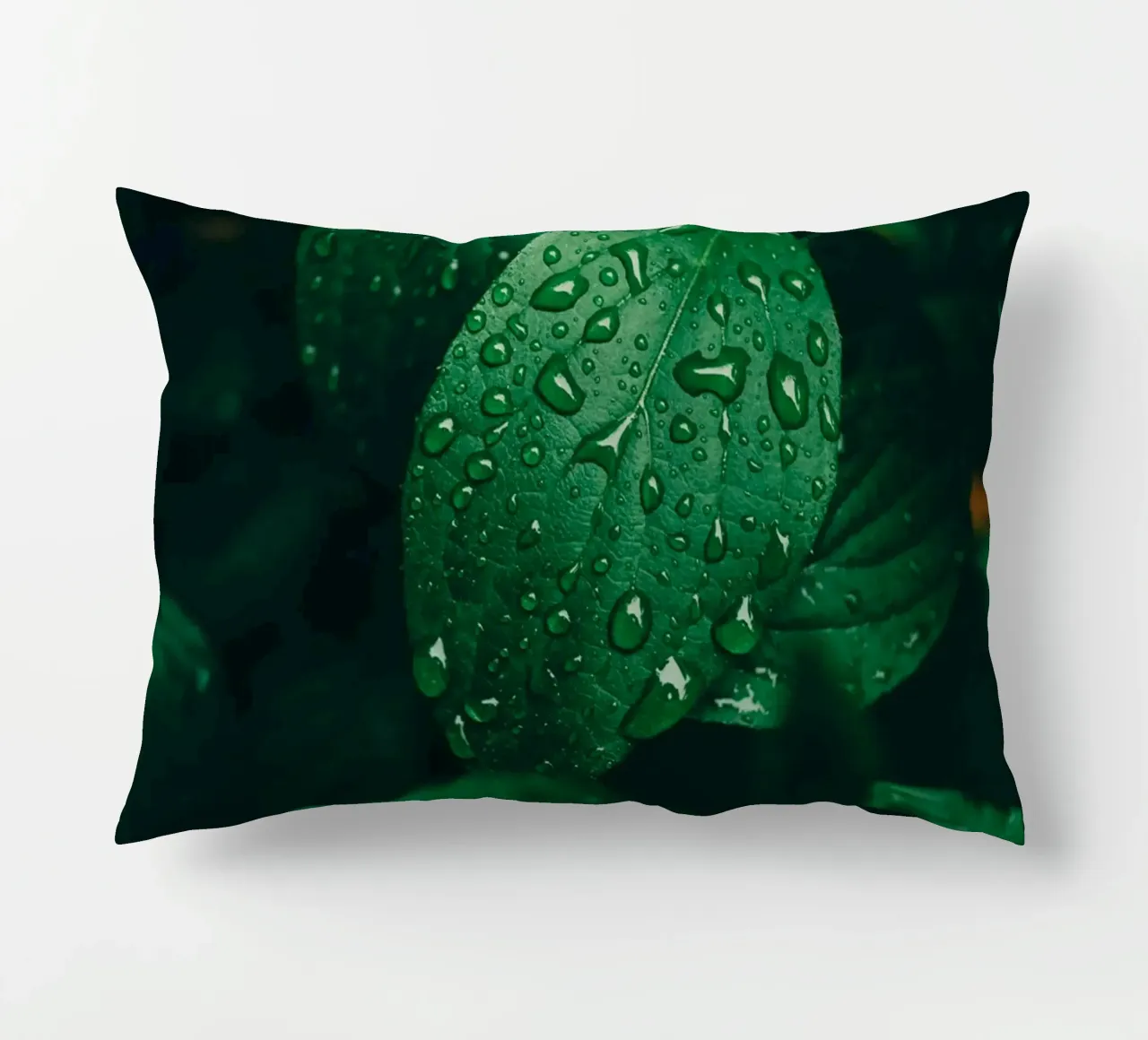 Feuille sombre avec gouttes de pluie - Moody Macro-Photo de plantes coussin de Bold and Retro