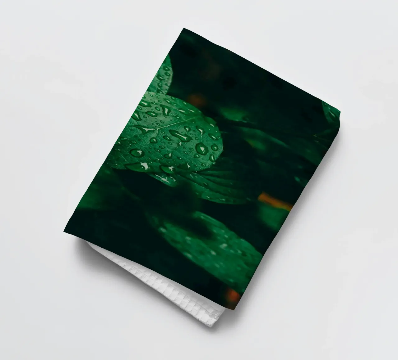 Feuille sombre avec gouttes de pluie - Moody Macro-Photo de plantes torchon de Bold and Retro