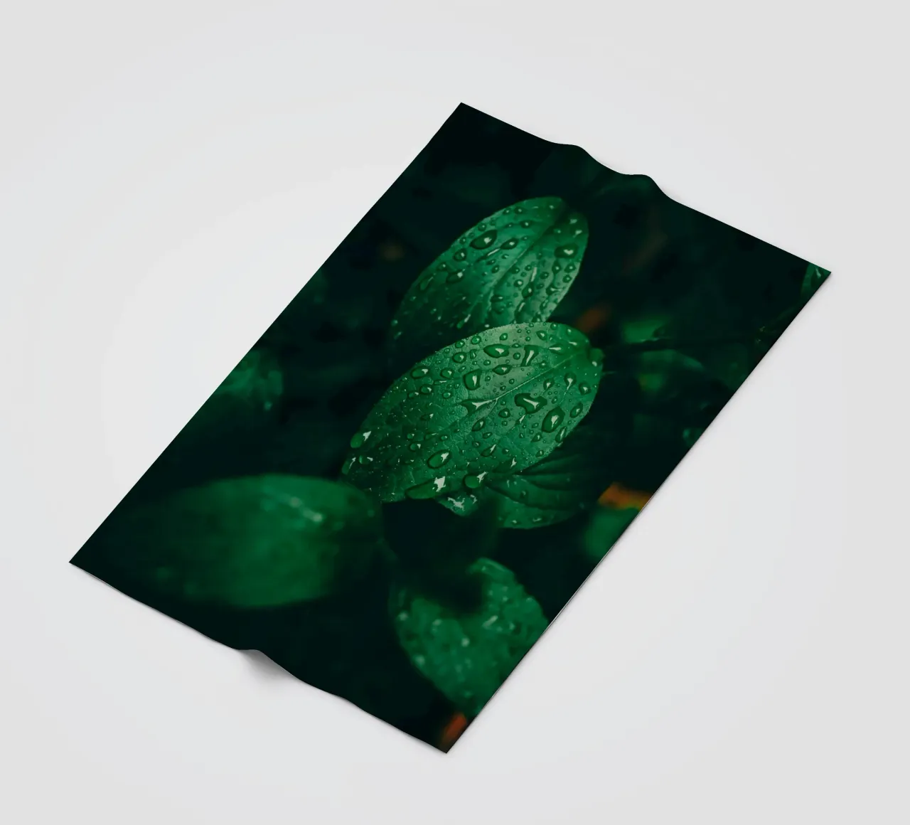 Dark leaf with raindrops - Moody macro plant photo fleece blanket by Bold and Retro
