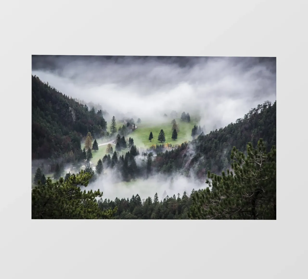 Foresta nebbiosa pellicola backlit da PhotoVibe Decor