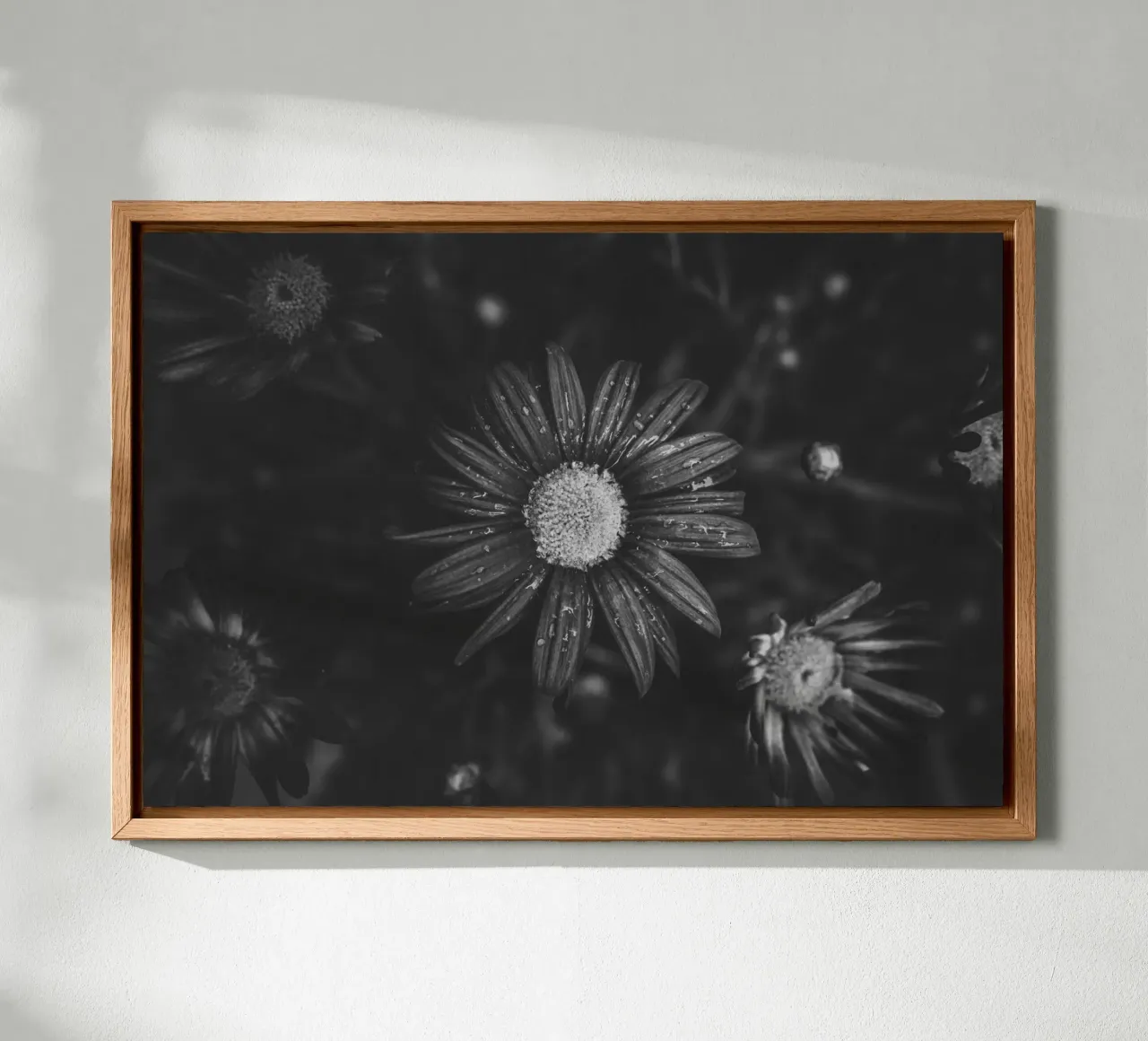 Dettaglio di un fiore in bianco e nero: immagine artistica della natura tela con Cornice a cassetta da Bold and Retro