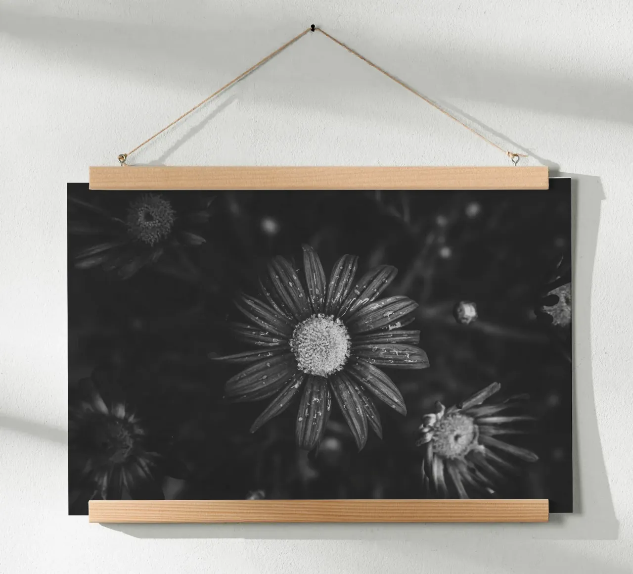 Dettaglio di un fiore in bianco e nero: immagine artistica della natura carta hahnemühle da Bold and Retro