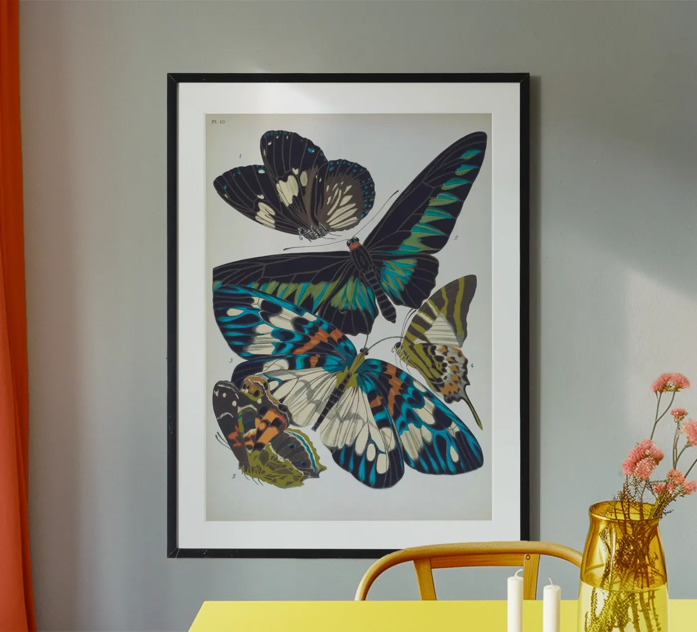 Vlindercollage poster da vintagebotanics