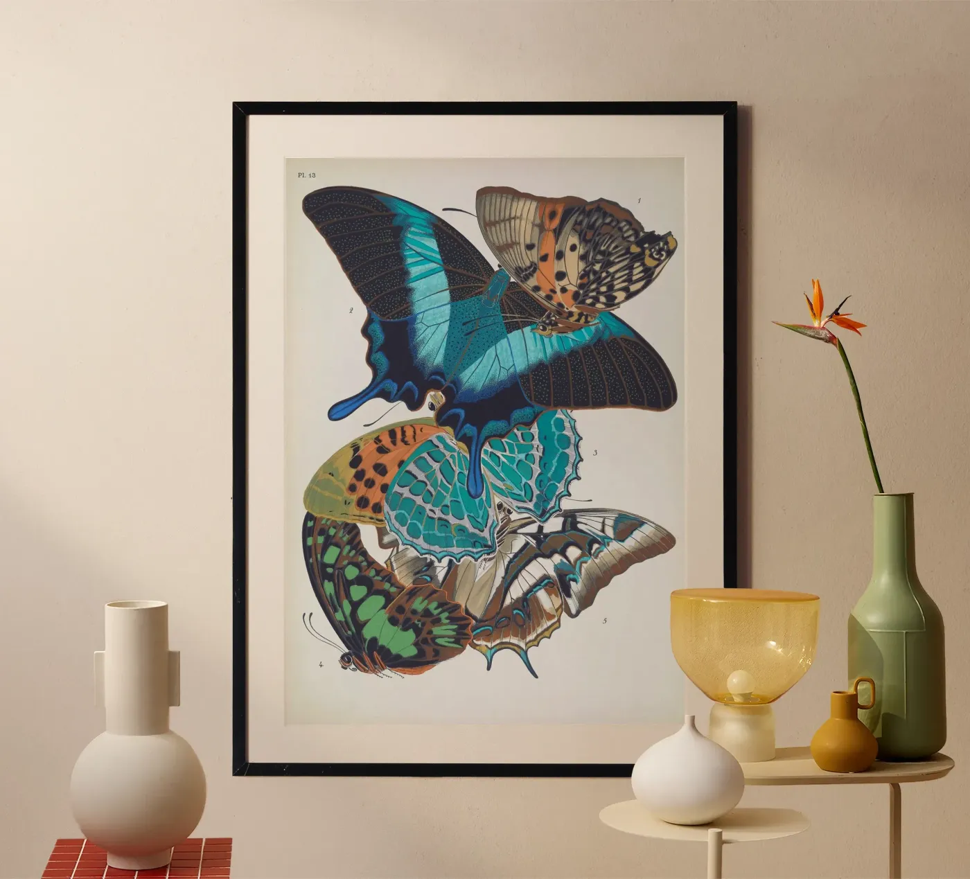 Vlindercollage poster da vintagebotanics