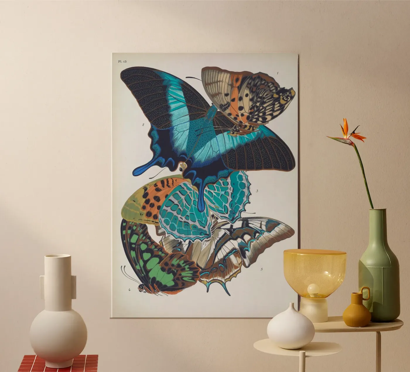 Vlindercollage poster da vintagebotanics