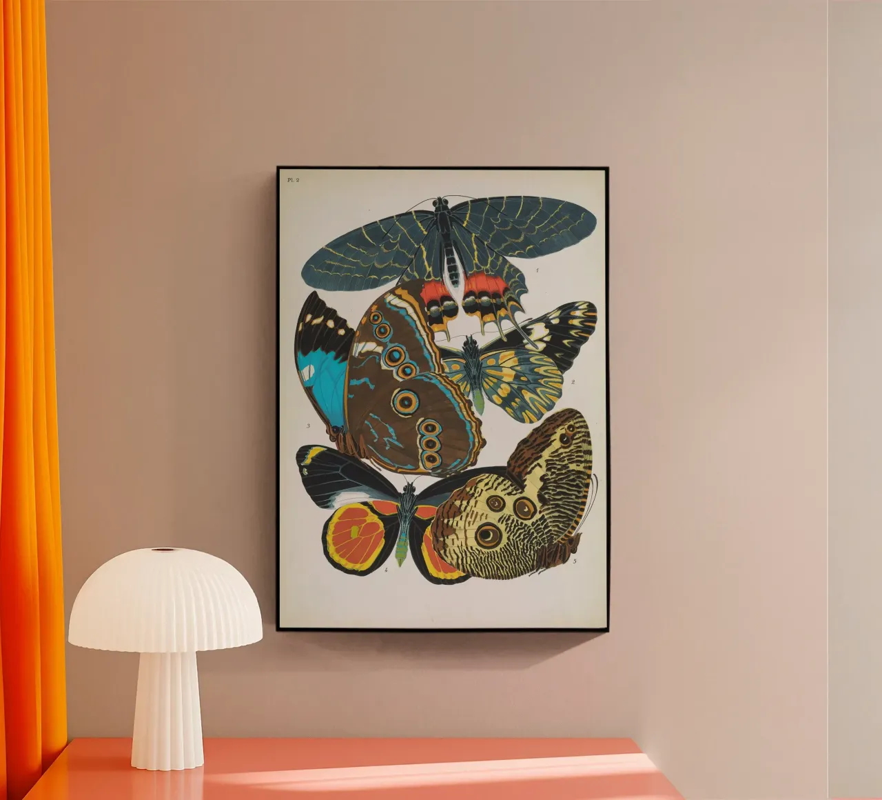 Vlindercollage plexiglass da vintagebotanics