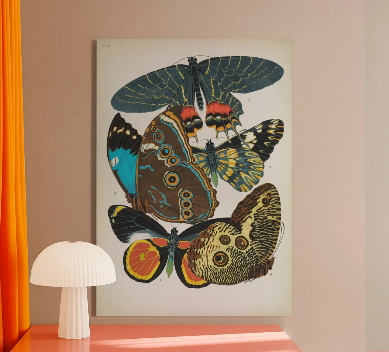 Vlindercollage plexiglass da vintagebotanics