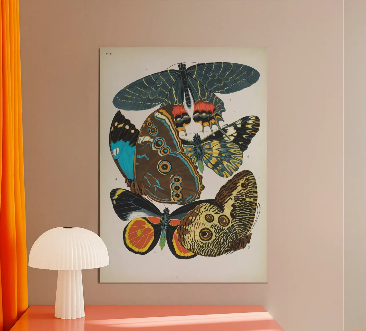 Vlindercollage alluminio dibond da vintagebotanics