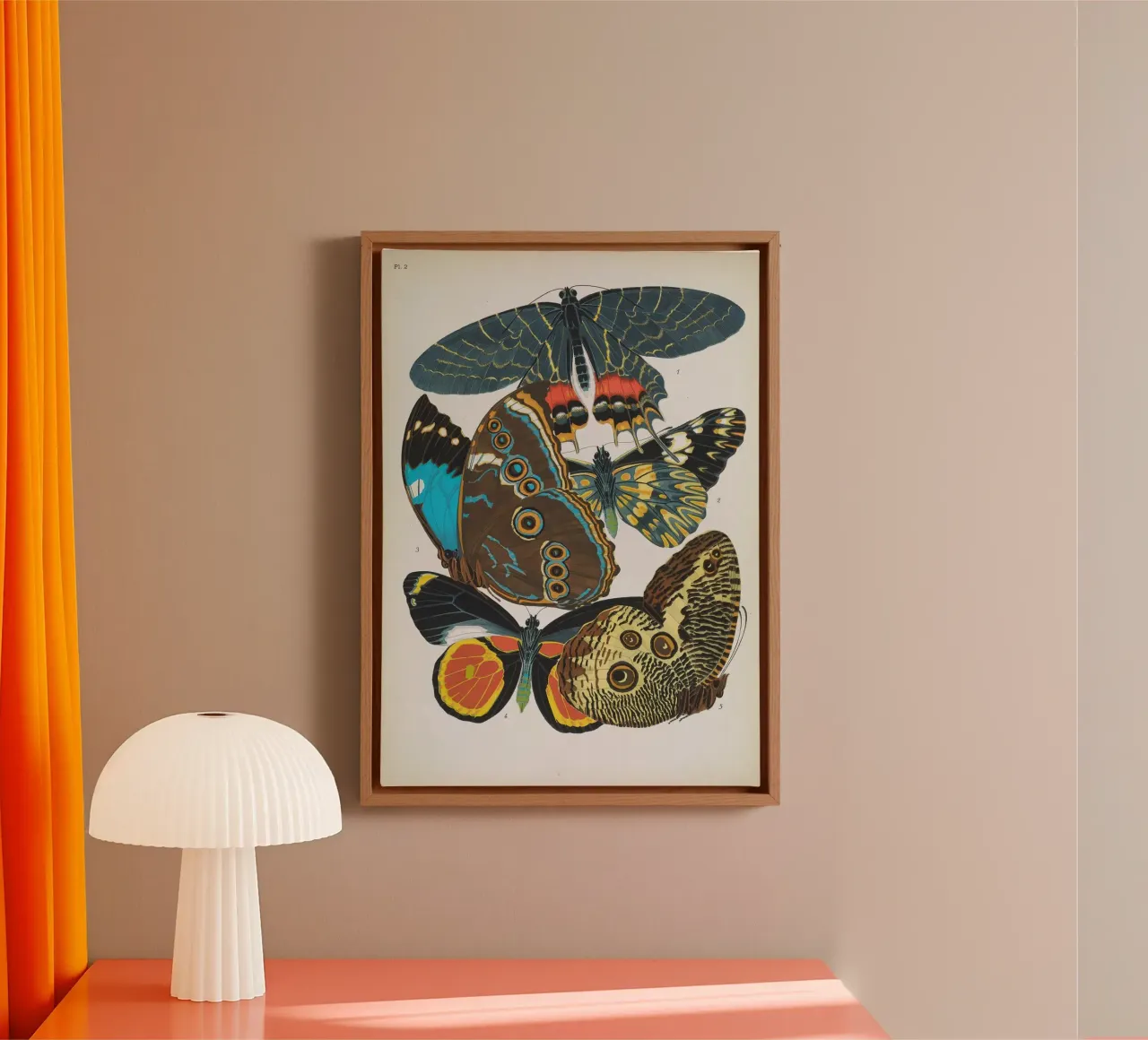 Vlindercollage tela con Cornice a cassetta da vintagebotanics