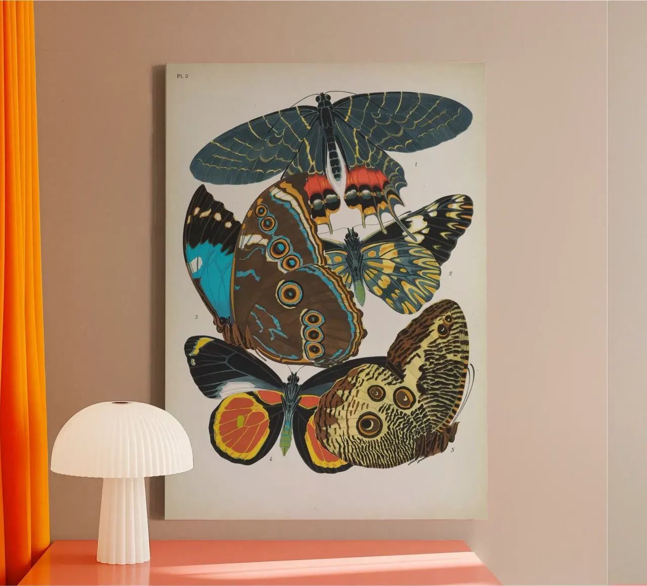 Vlindercollage tela con Cornice a cassetta da vintagebotanics