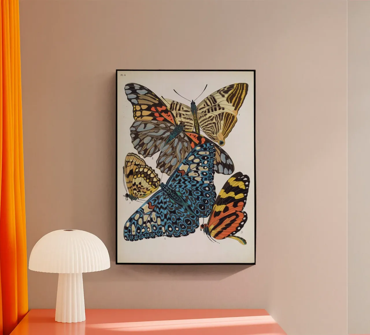 Vlindercollage plexiglass da vintagebotanics