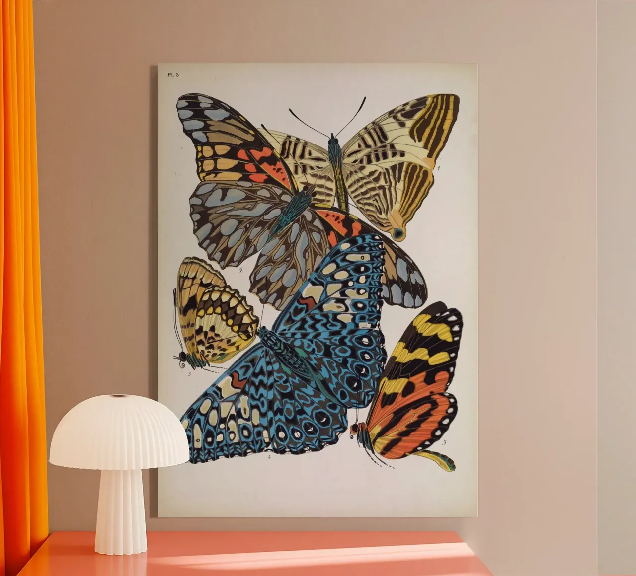 Vlindercollage plexiglass da vintagebotanics