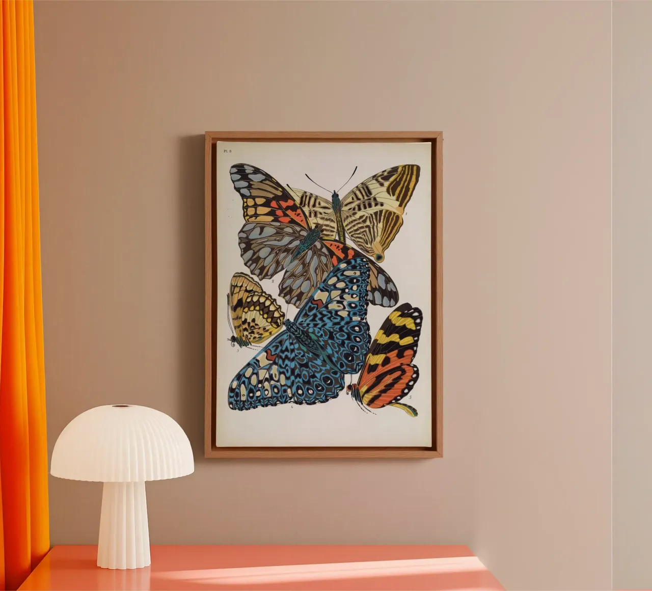 Vlindercollage tela con Cornice a cassetta da vintagebotanics