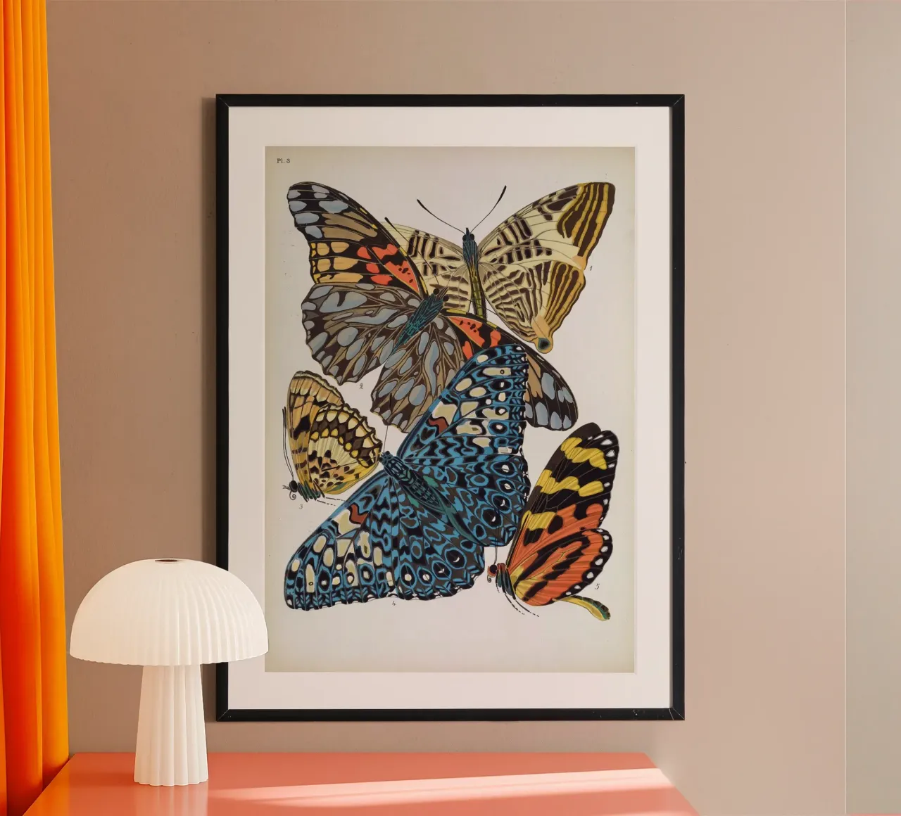 Vlindercollage poster da vintagebotanics