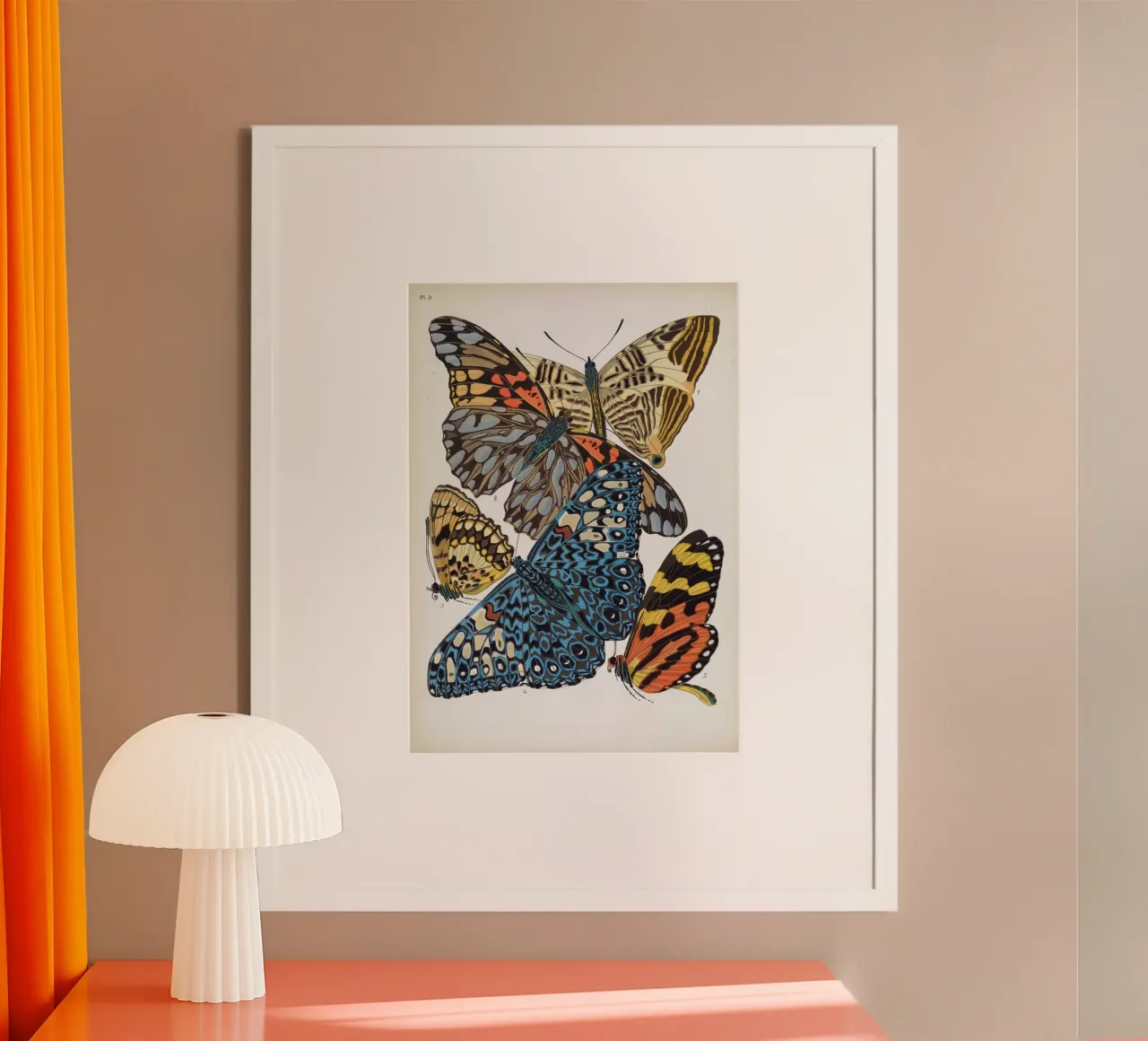 Vlindercollage poster da vintagebotanics