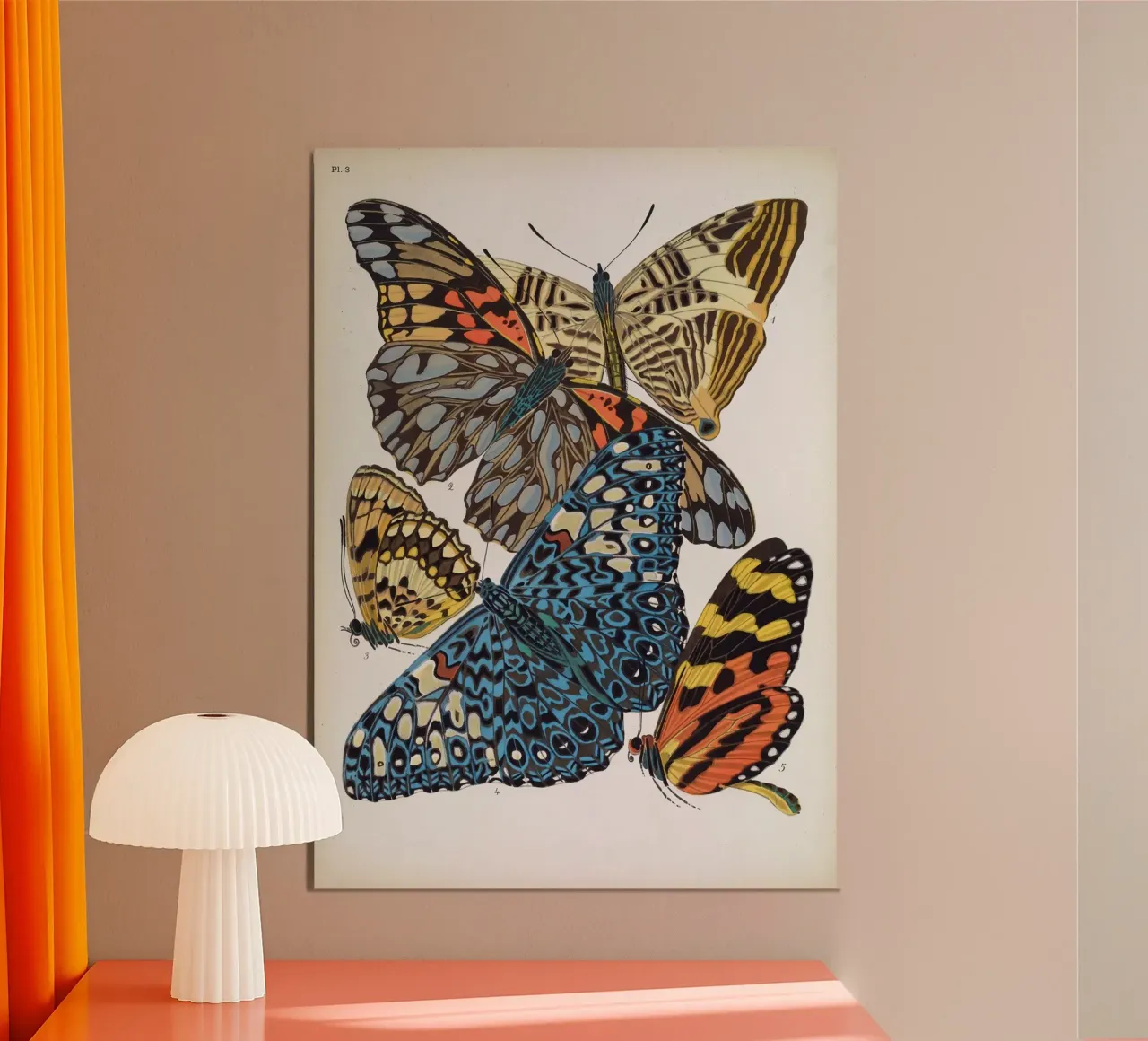 Vlindercollage poster da vintagebotanics