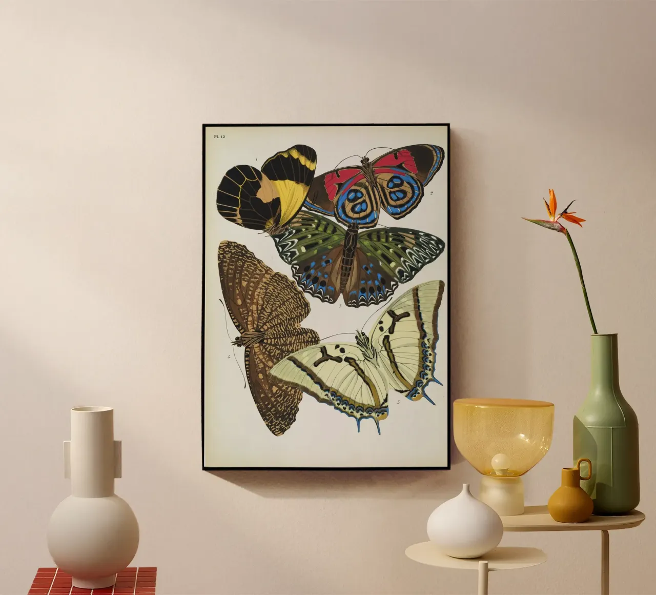 Vlindercollage plexiglass da vintagebotanics