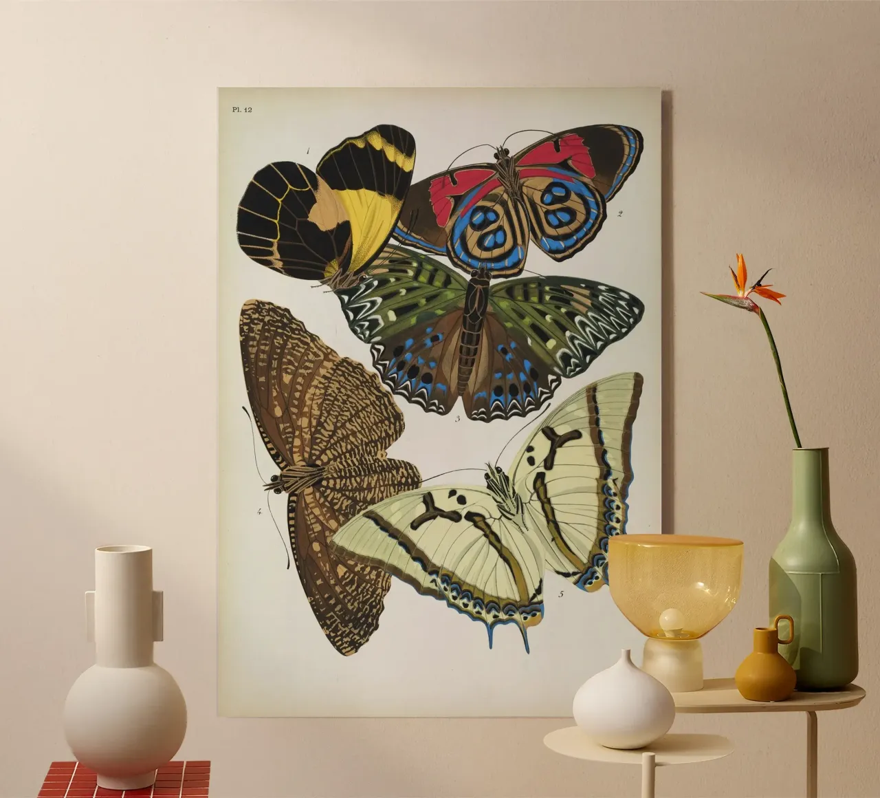 Vlindercollage plexiglass da vintagebotanics