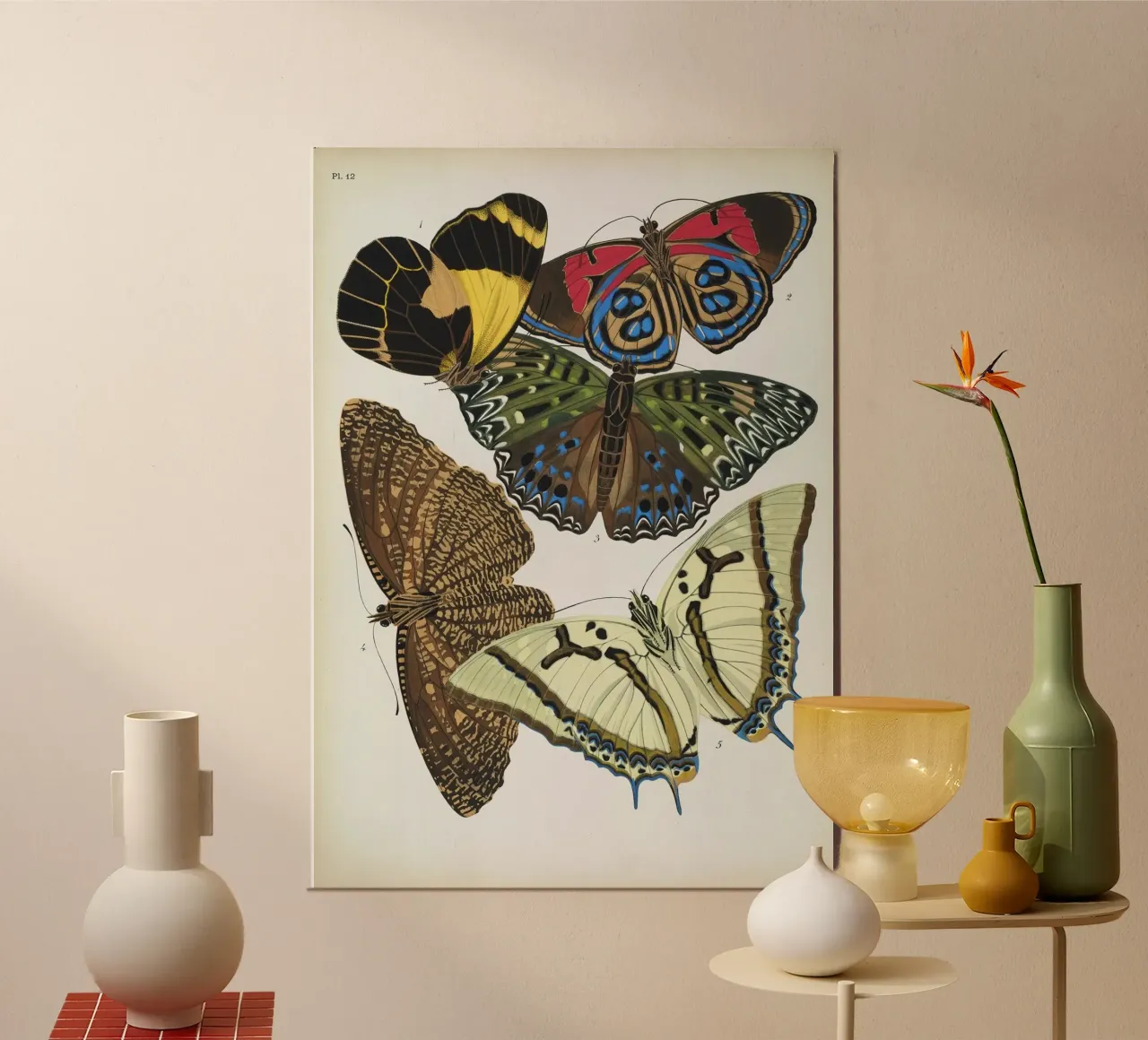 Vlindercollage alluminio dibond da vintagebotanics