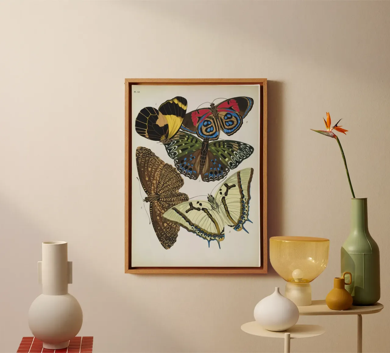 Vlindercollage tela con Cornice a cassetta da vintagebotanics