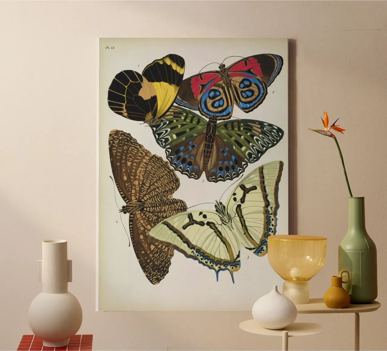 Vlindercollage tela con Cornice a cassetta da vintagebotanics