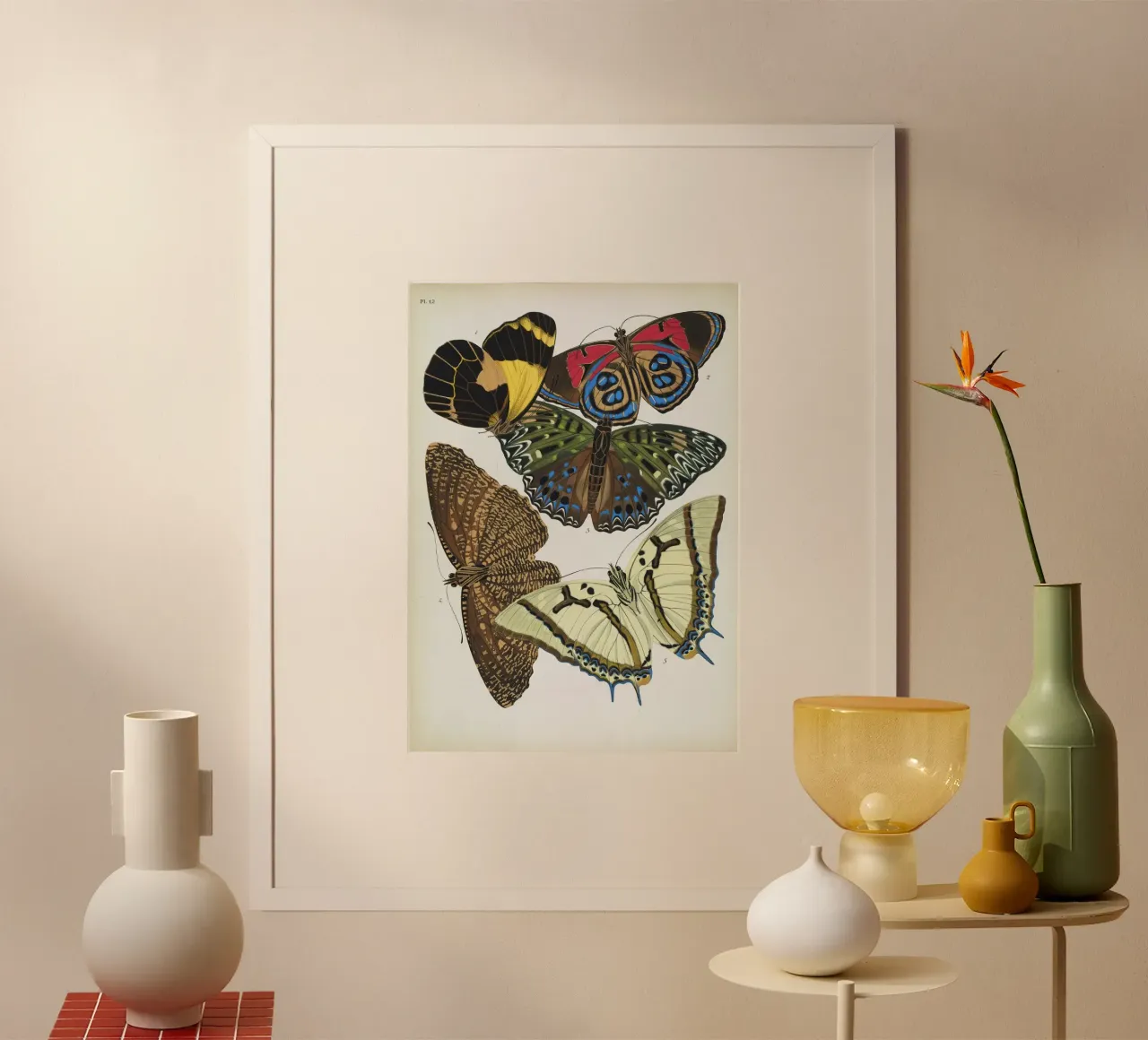 Vlindercollage poster da vintagebotanics