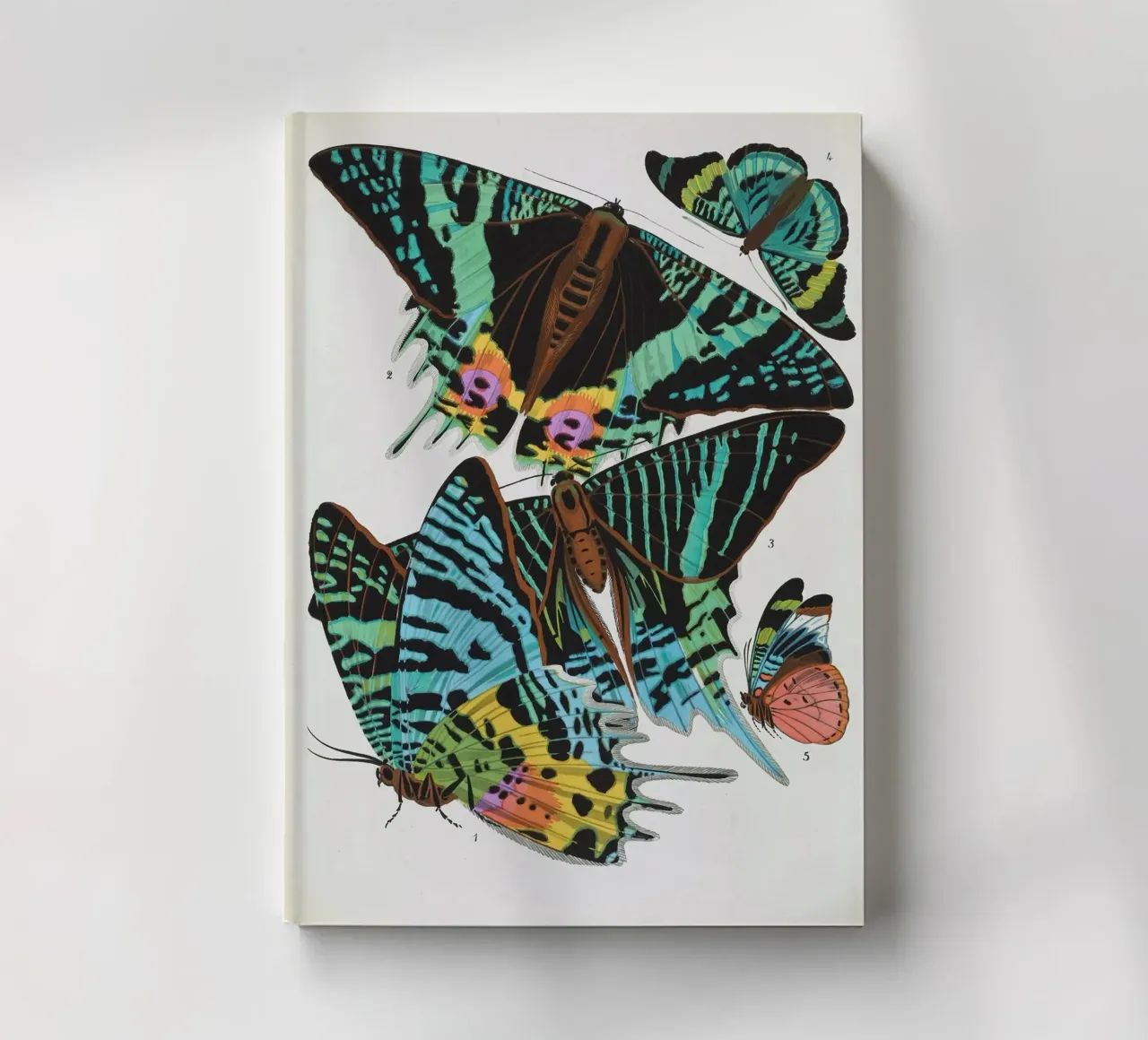 Vlindercollage notebook by vintagebotanics