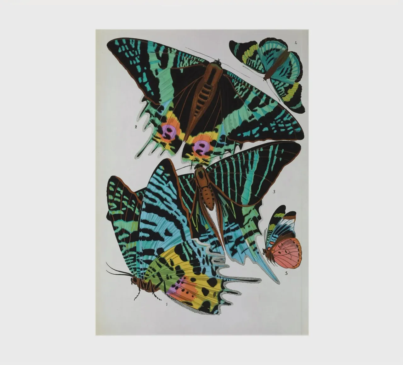 Vlindercollage notebook by vintagebotanics