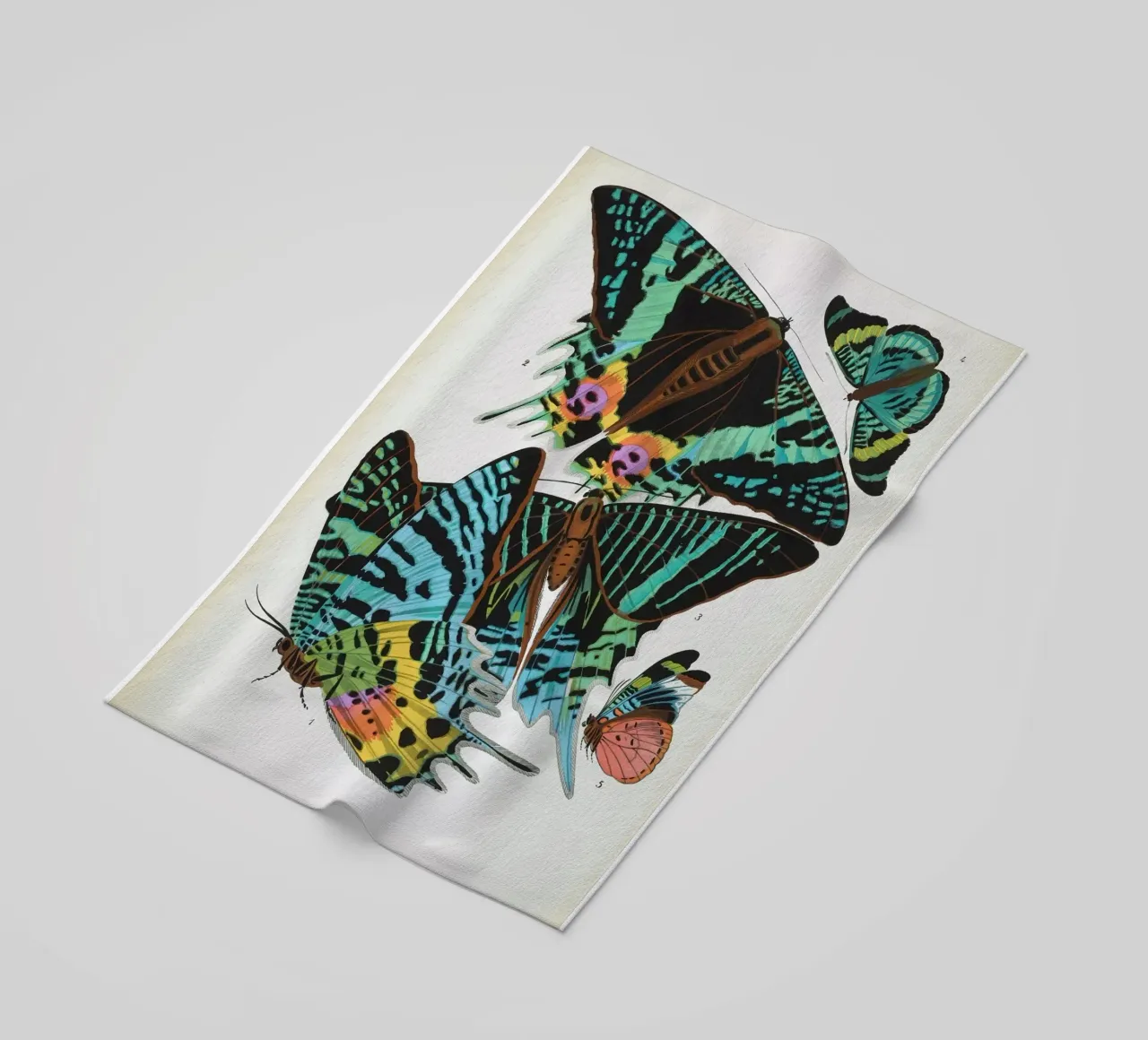 Vlindercollage telo mare da vintagebotanics