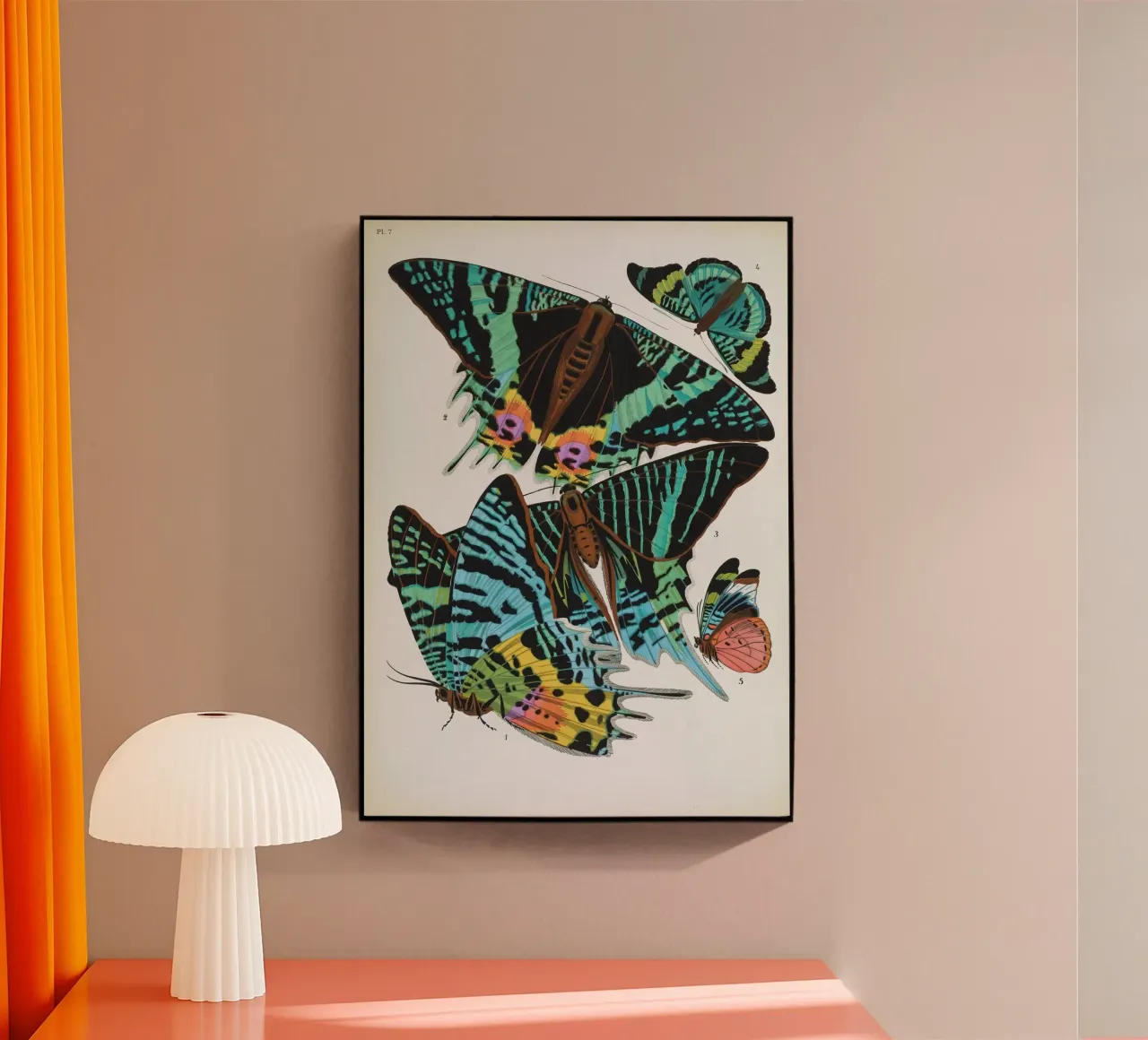 Vlindercollage plexiglass da vintagebotanics