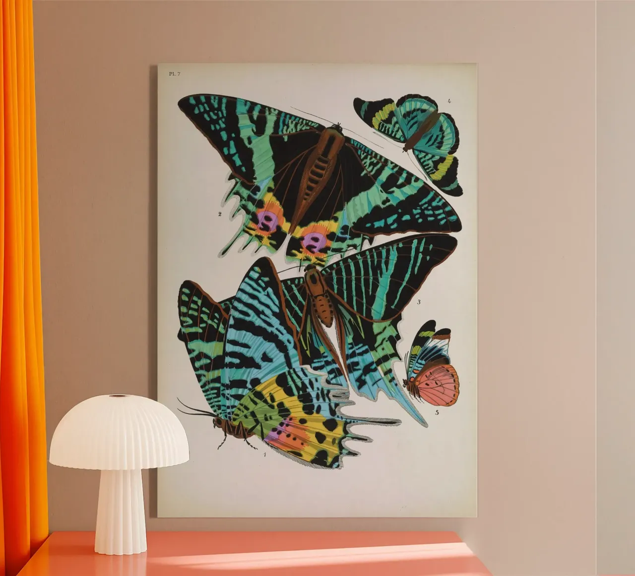 Vlindercollage plexiglass da vintagebotanics