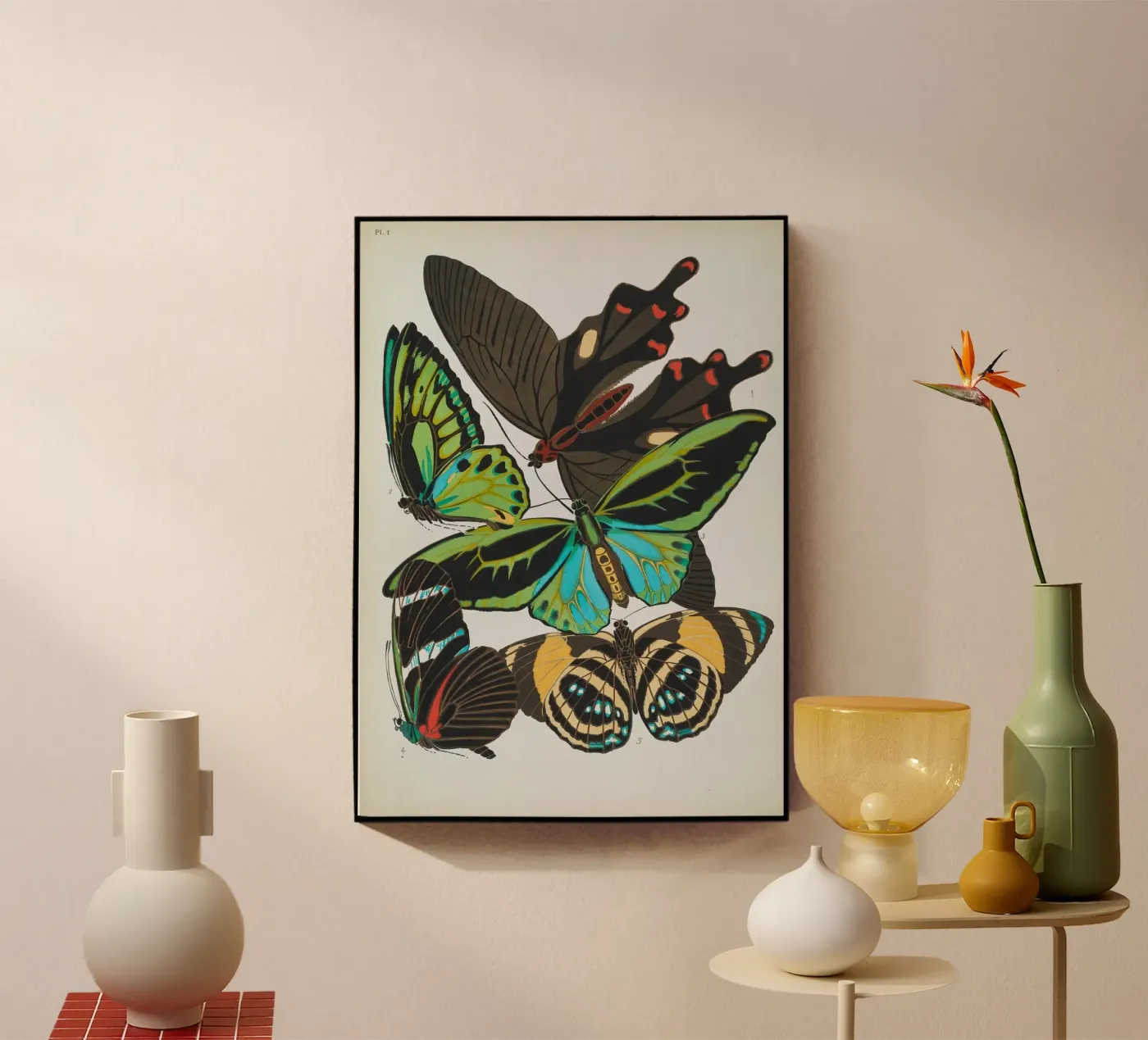 Vlindercollage acrylic glass by vintagebotanics