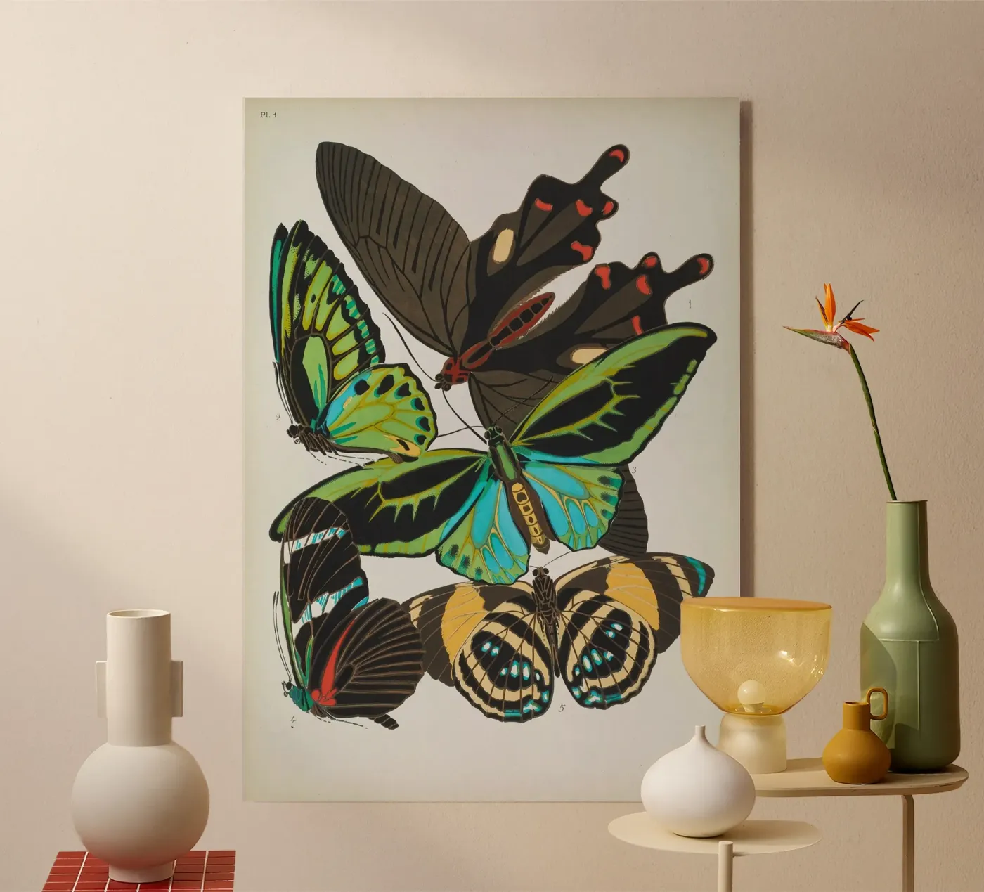 Vlindercollage acrylic glass by vintagebotanics