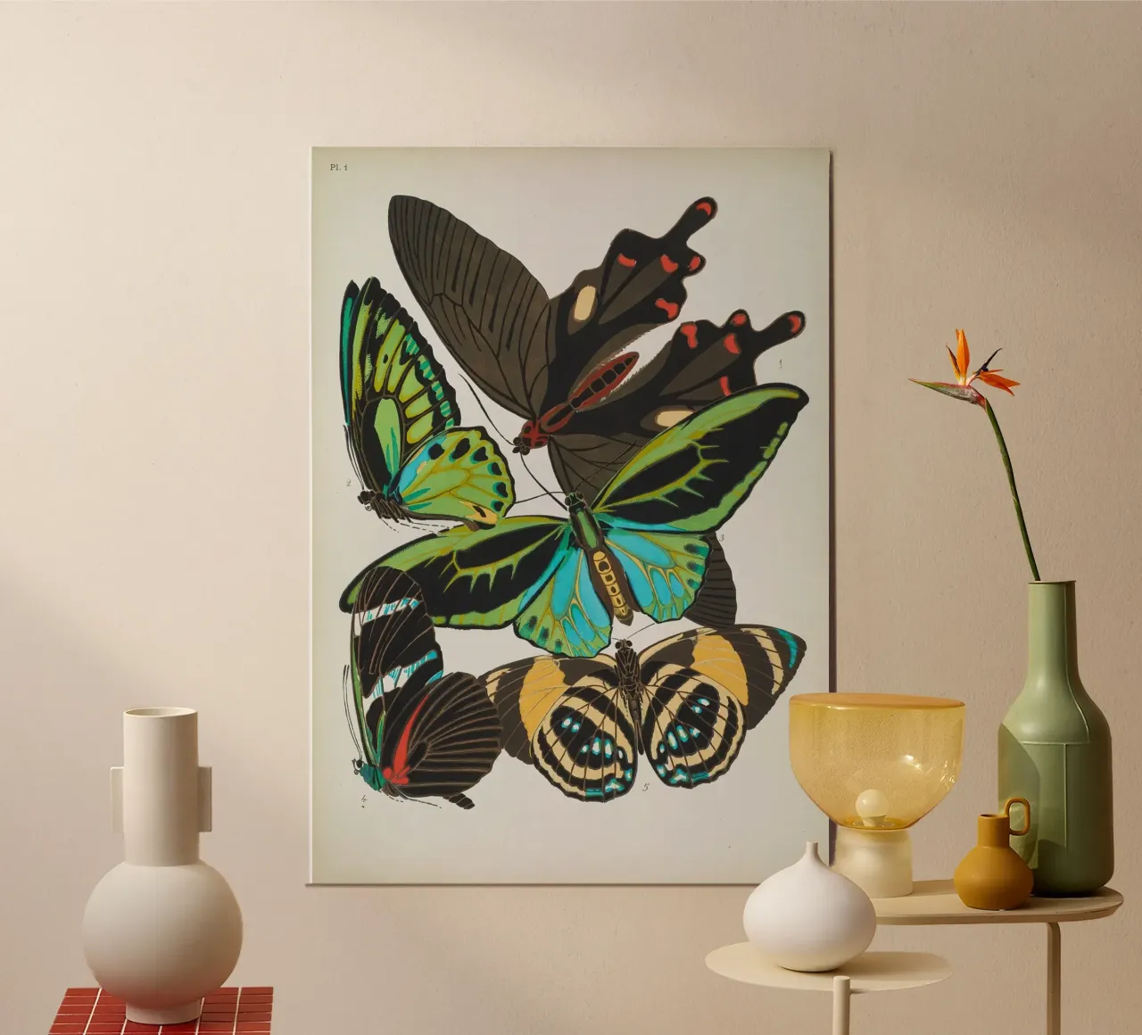 Vlindercollage poster da vintagebotanics