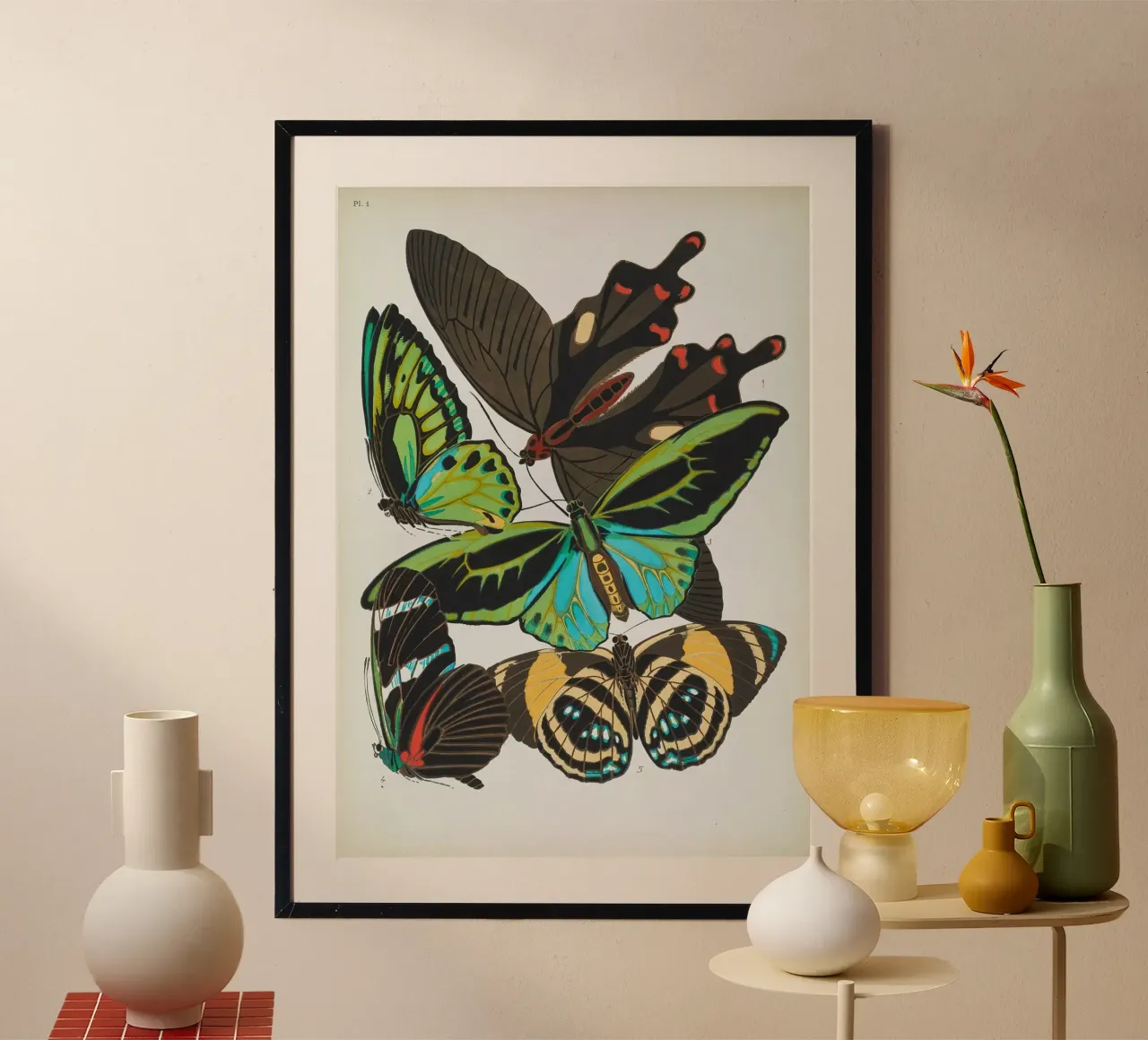 Vlindercollage poster da vintagebotanics