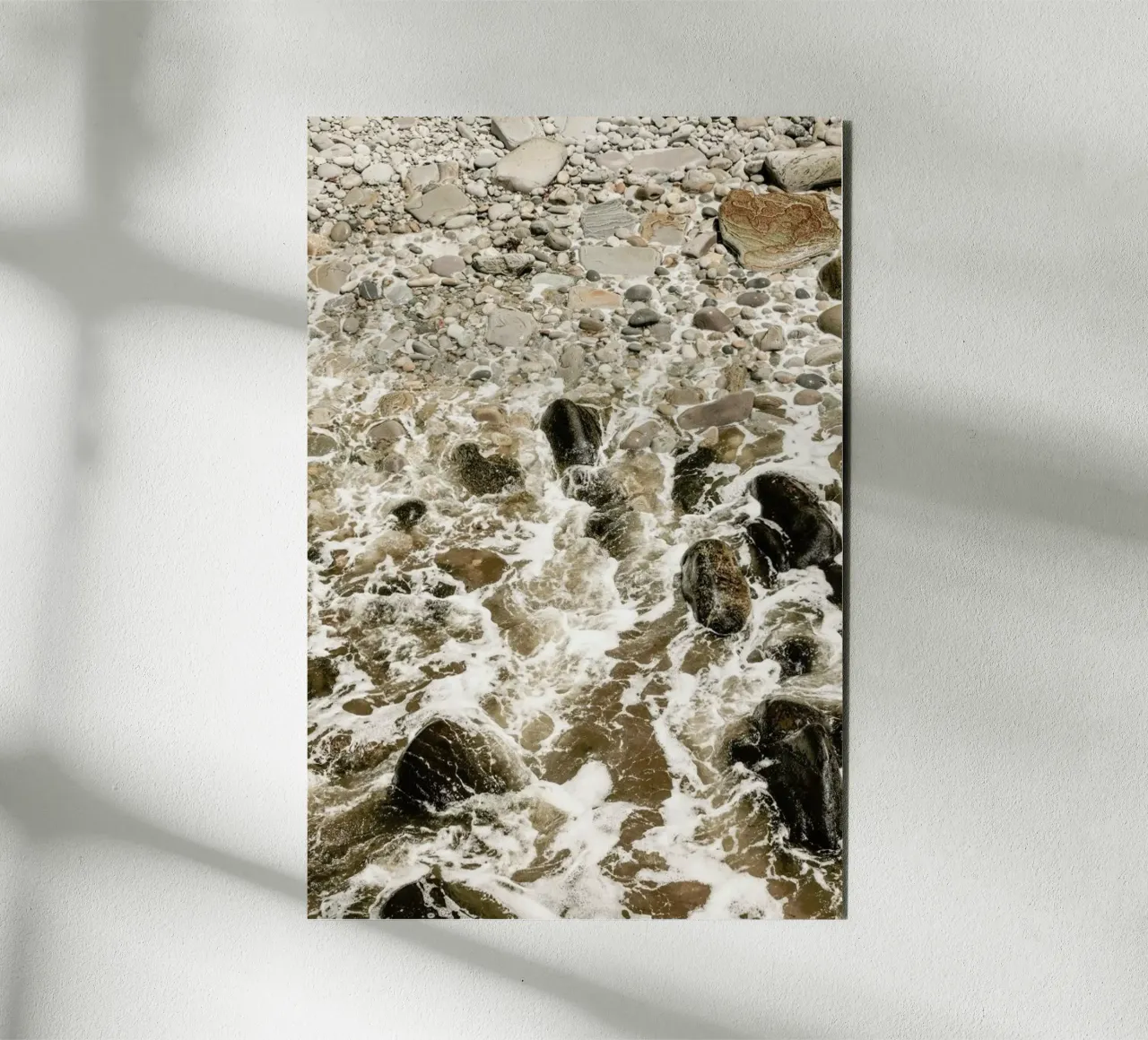 Cola Tide pannello forex da Shot By Clint