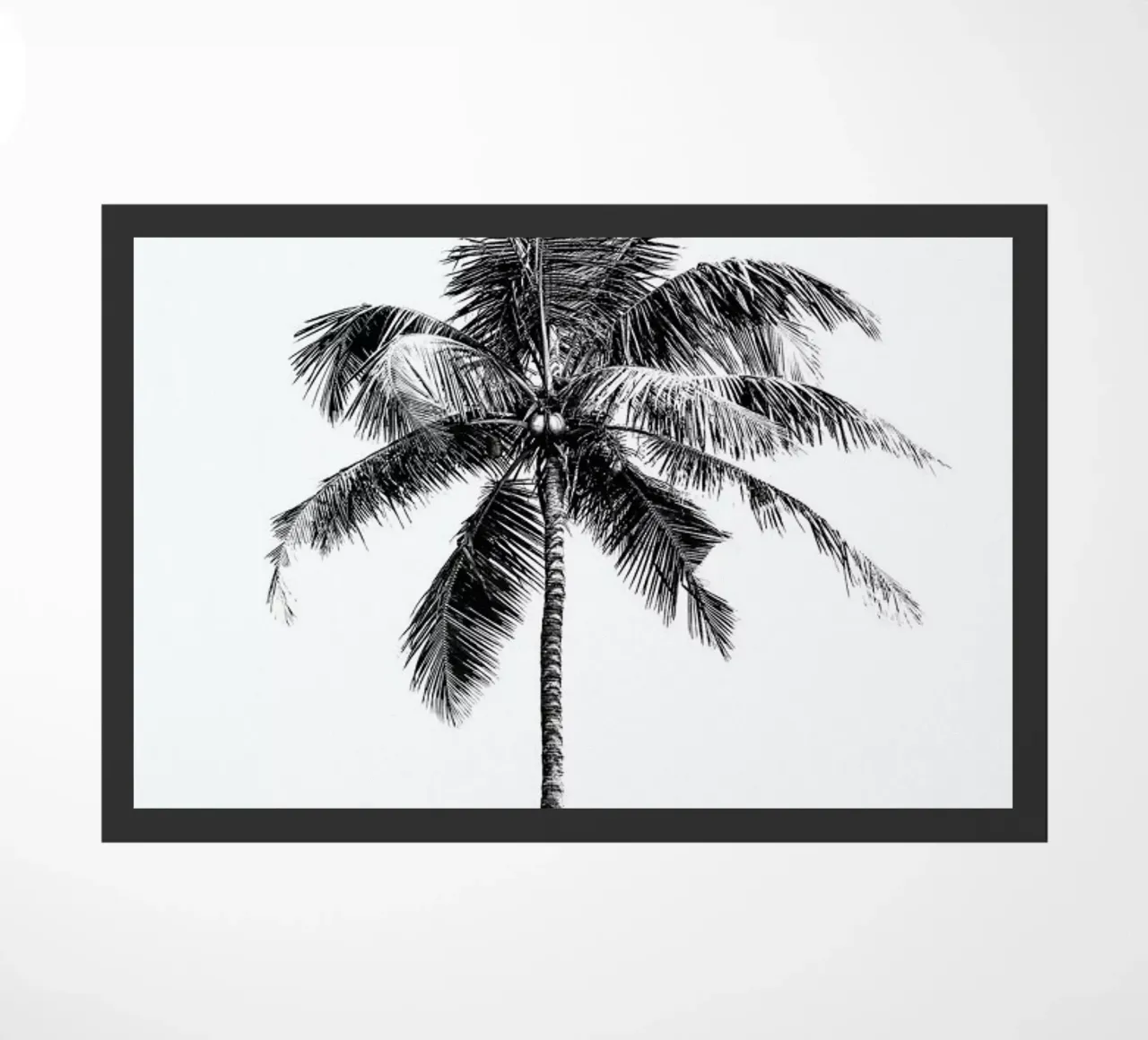 Palm Tree By The Beach 2 zerbino da Victoria Frost