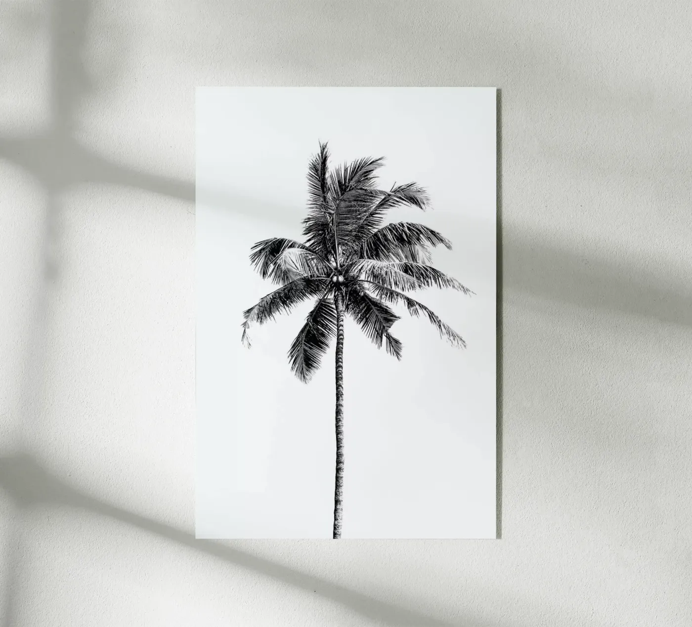 Palm Tree By The Beach 2 plexiglass da Victoria Frost