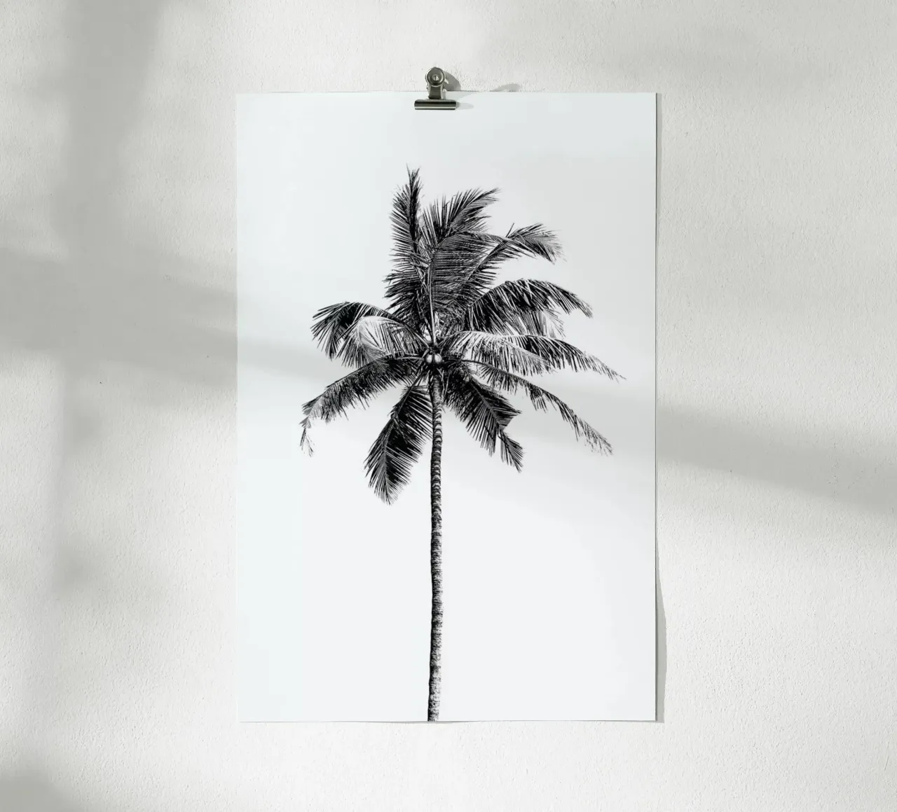Palm Tree By The Beach 2 carta hahnemühle da Victoria Frost