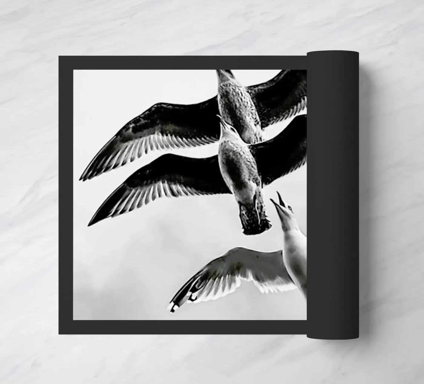 Soaring Seagulls doormat by Babett Schultze