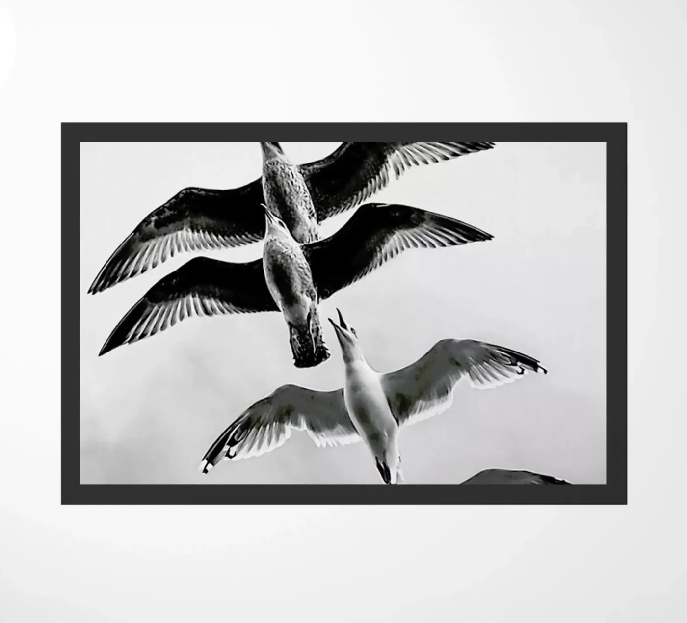 Soaring Seagulls doormat by Babett Schultze