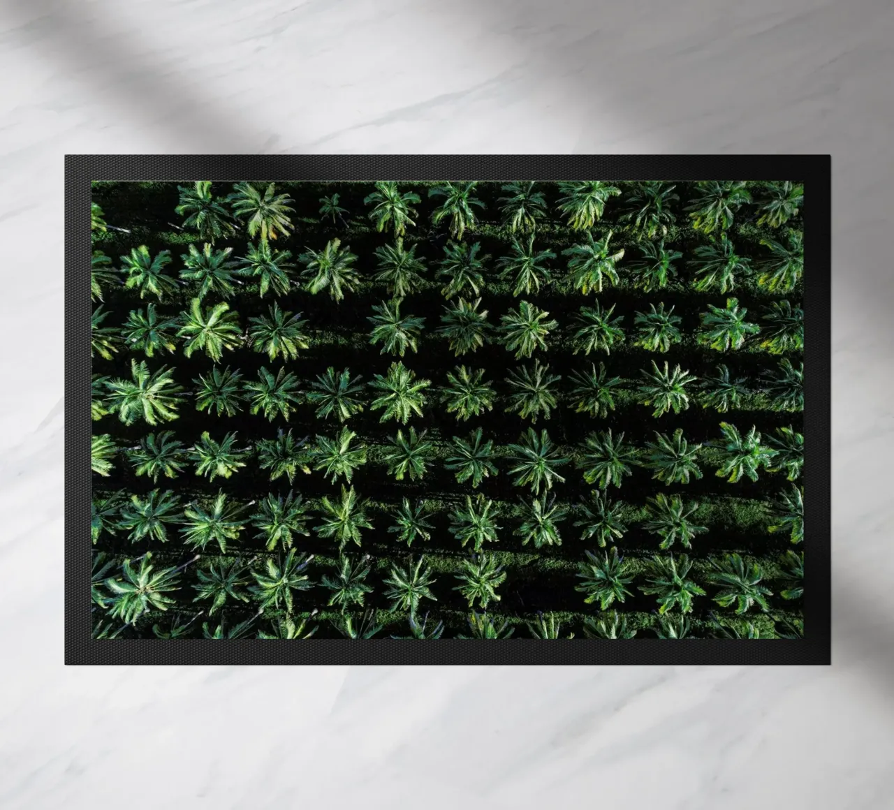 Palms zerbino da ROBERTO H