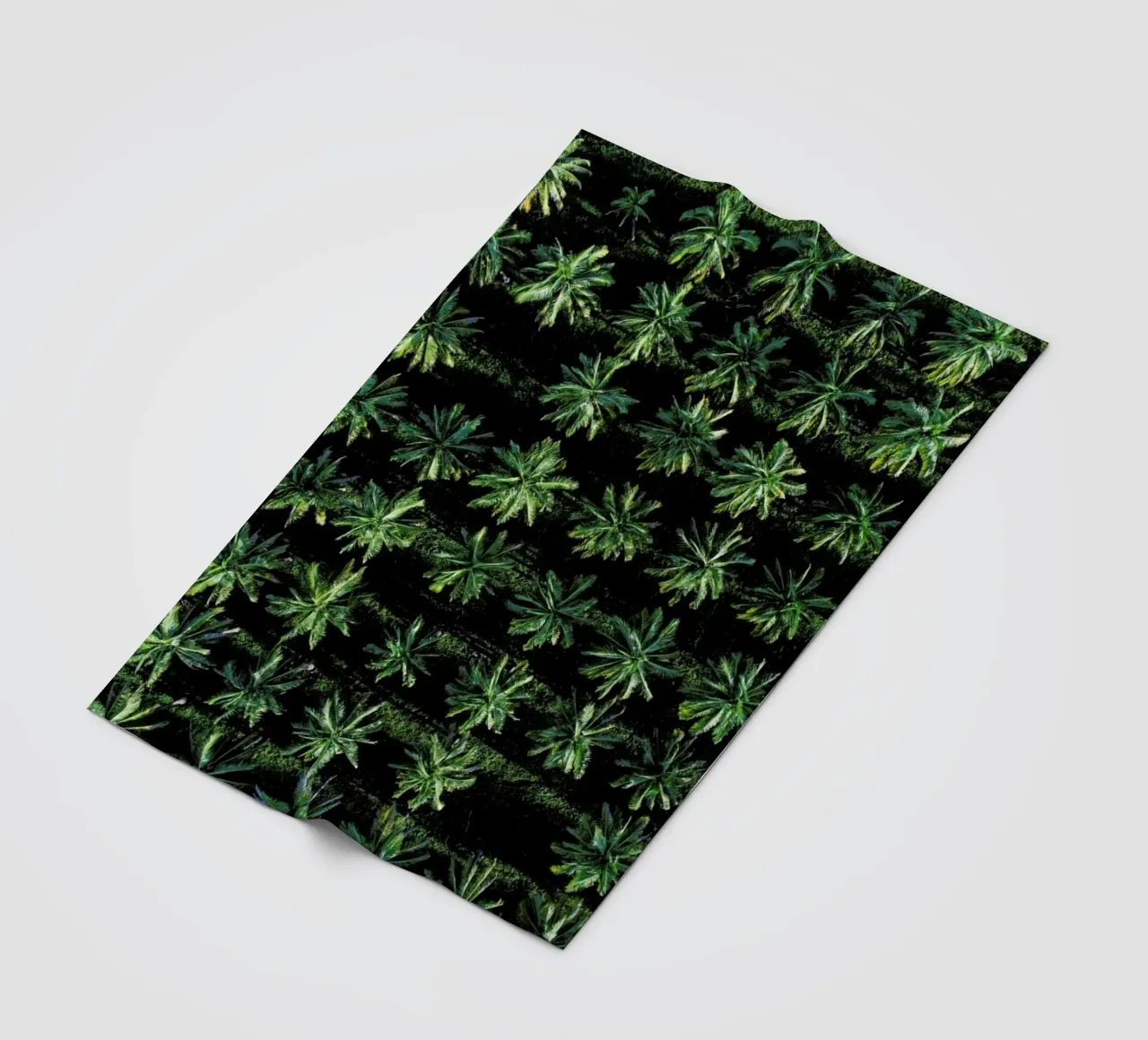 Palms coperta in pile da ROBERTO H