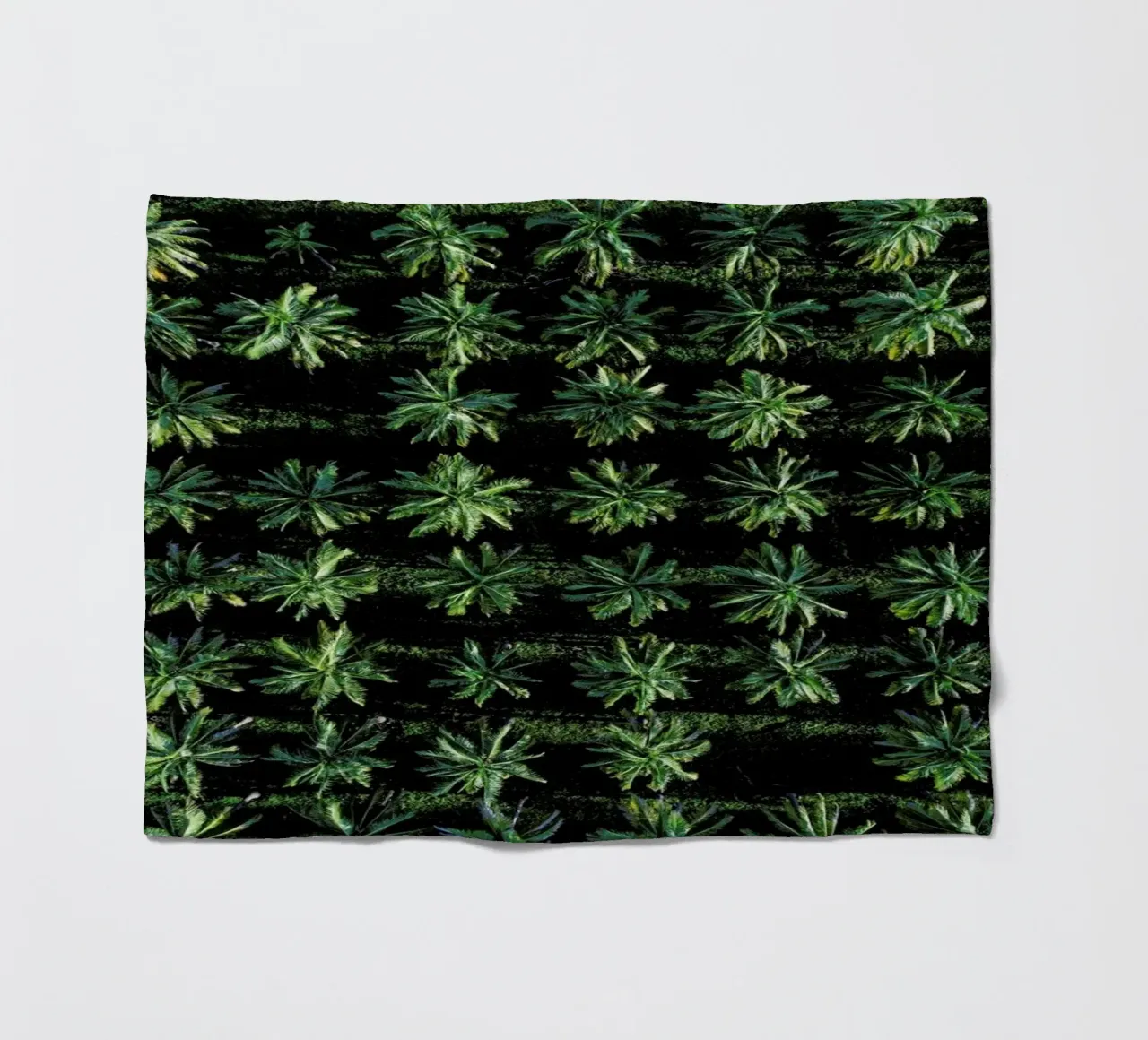 Palms coperta in pile da ROBERTO H