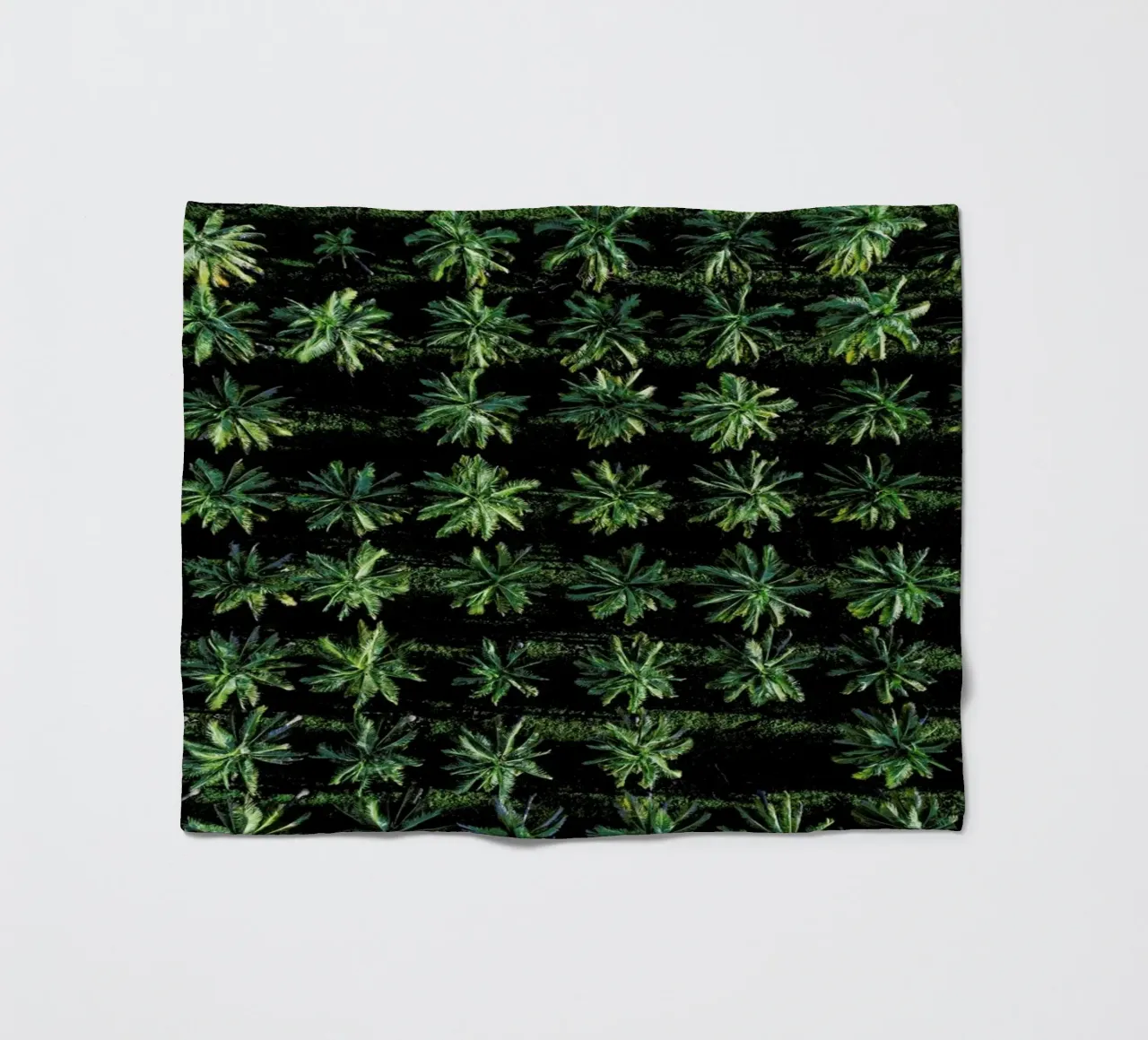 Palms coperta in pile da ROBERTO H