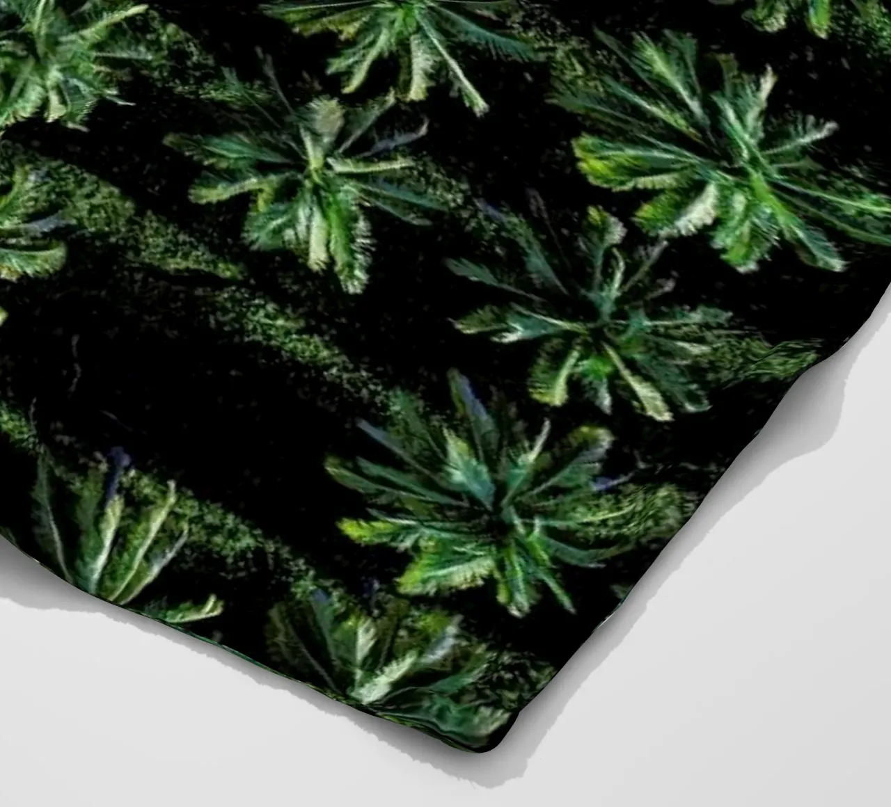 Palms coperta in pile da ROBERTO H